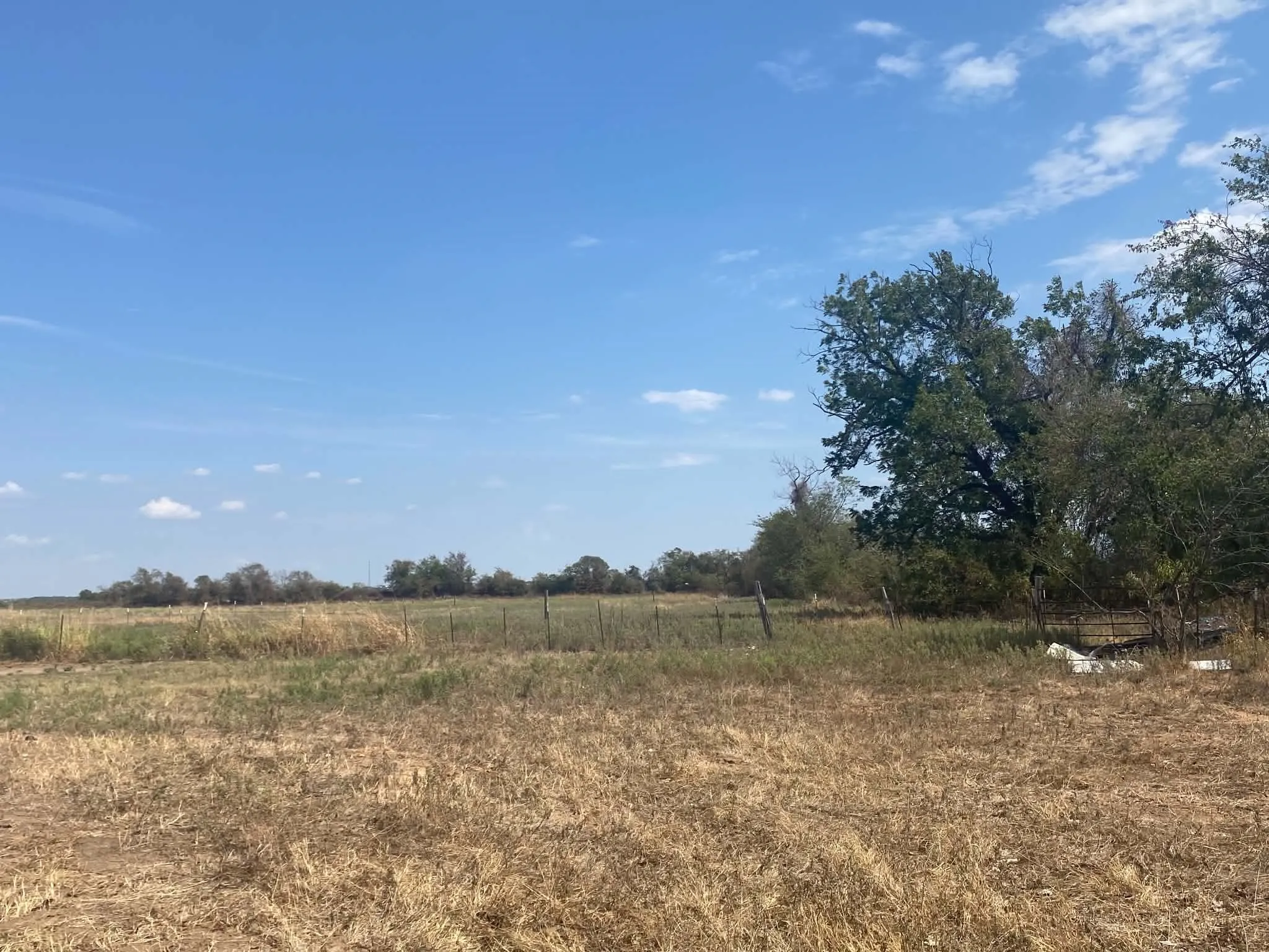 Unimproved Land For Sale in Erath County , 608 County Road 373, Dublin, Texas 76446, 0, 0, Garage spaces, 0 Sqft, built in 2011, mls#21397304, Real Estate Agent in Dublin, Homes For Sale in Erath county, Homes For Sale in Dublin, Realtor in Dublin Texas, Real Estate Brokerage Independent Realty Texas, Luminita Cordes Realtor