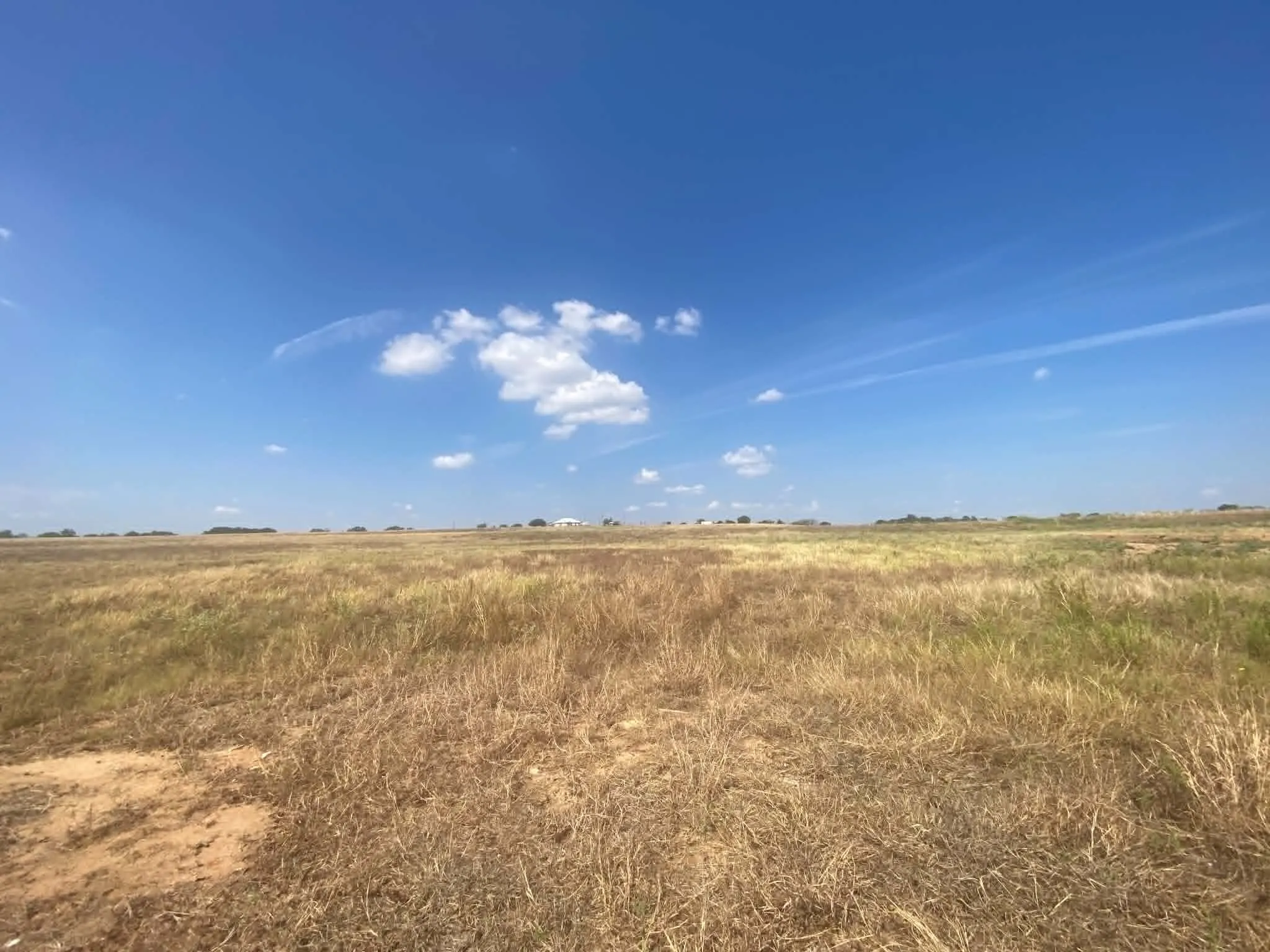 Sandy loamy soil
