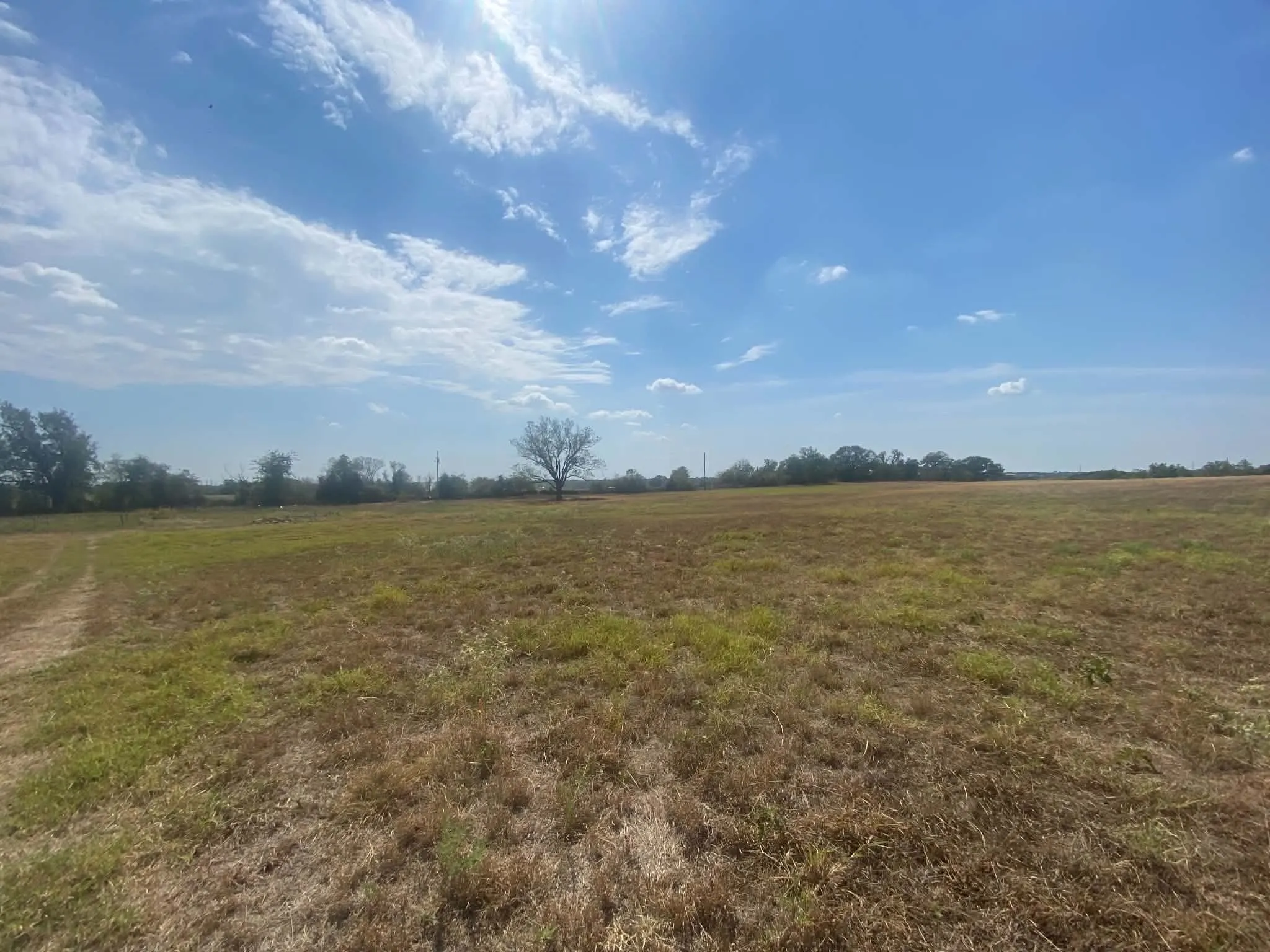 Unimproved Land For Sale in Erath County , 608 County Road 373, Dublin, Texas 76446, 0, 0, Garage spaces, 0 Sqft, built in 2011, mls#21397304, Real Estate Agent in Dublin, Homes For Sale in Erath county, Homes For Sale in Dublin, Realtor in Dublin Texas, Real Estate Brokerage Independent Realty Texas, Luminita Cordes Realtor