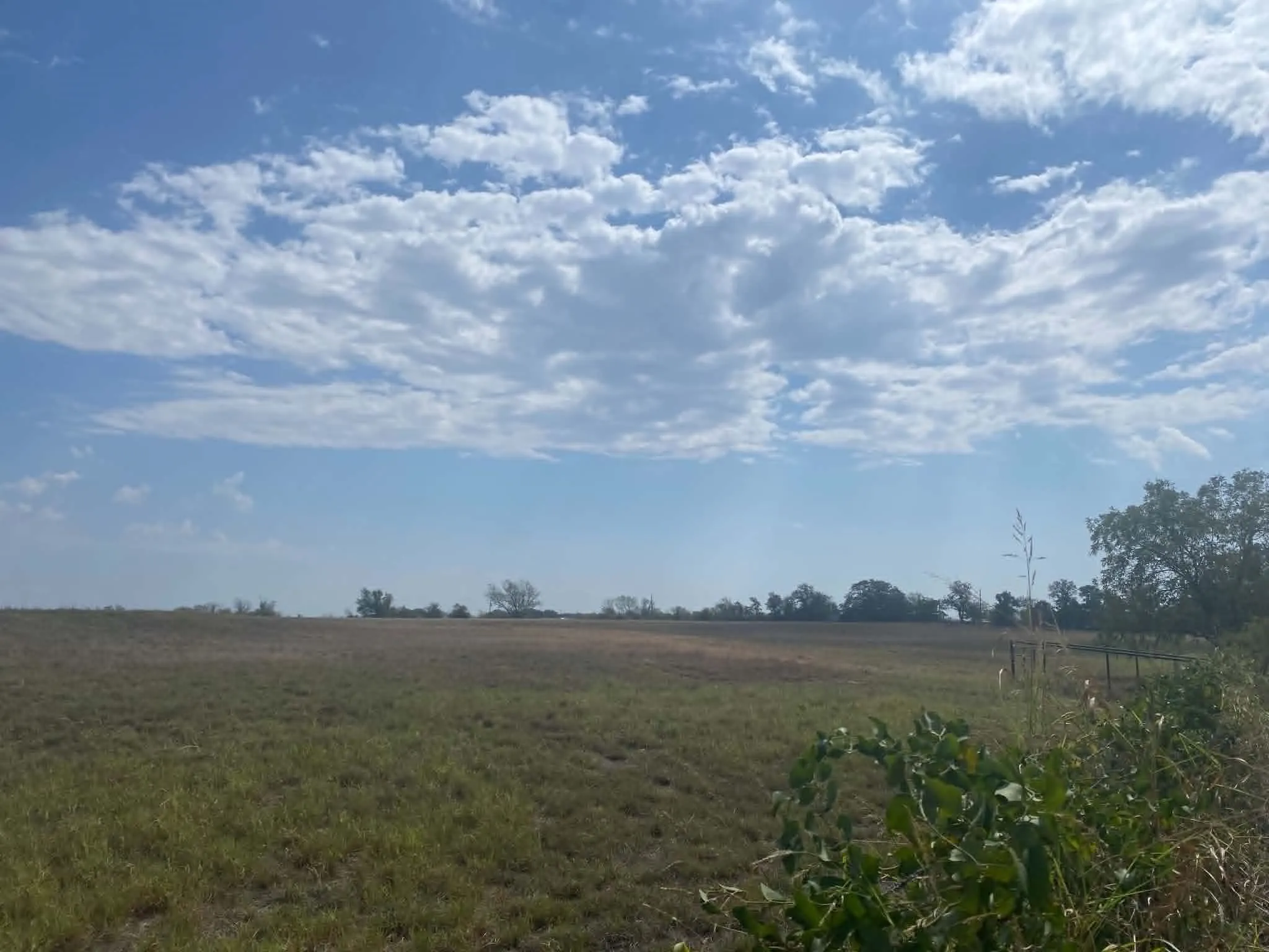 Unimproved Land For Sale in Erath County , 608 County Road 373, Dublin, Texas 76446, 0, 0, Garage spaces, 0 Sqft, built in 2011, mls#21397304, Real Estate Agent in Dublin, Homes For Sale in Erath county, Homes For Sale in Dublin, Realtor in Dublin Texas, Real Estate Brokerage Independent Realty Texas, Luminita Cordes Realtor
