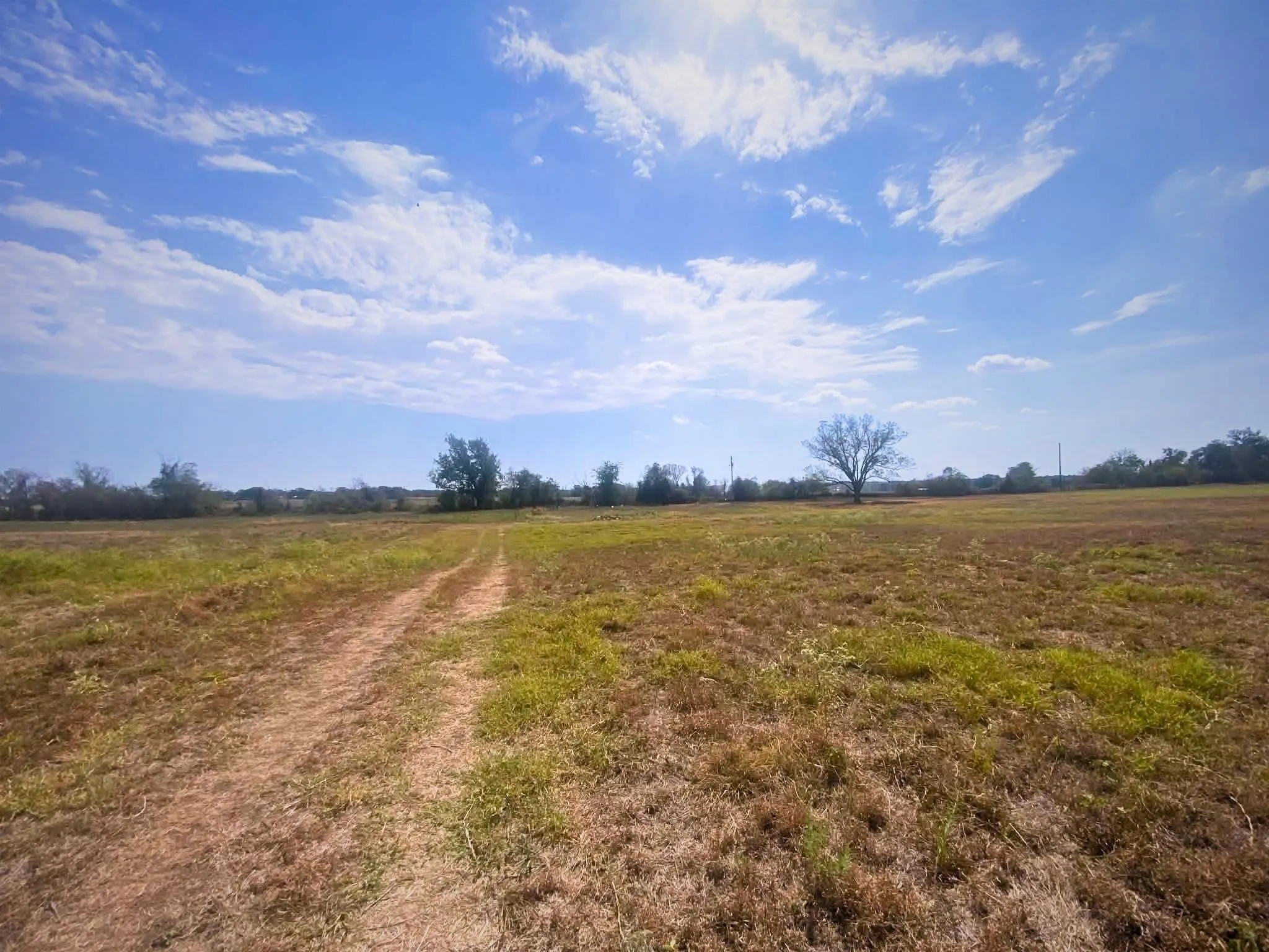 Photo taken from the approximate area of the proposed survey line, facing toward the rear property boundary. Exact boundaries to be determined by official survey.