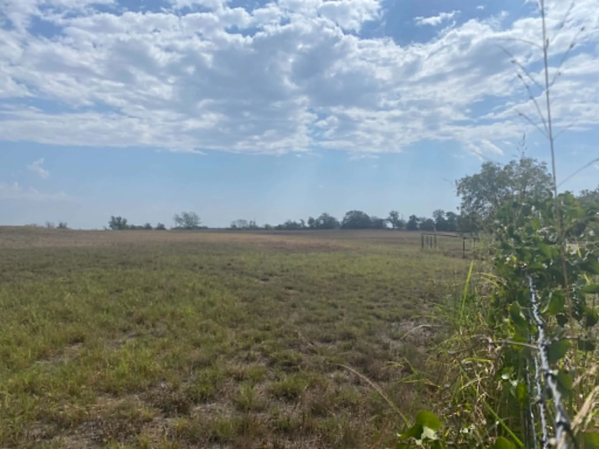 Unimproved Land For Sale in Erath County , 608 County Road 373, Dublin, Texas 76446, 0, 0, Garage spaces, 0 Sqft, built in 2011, mls#21397304, Real Estate Agent in Dublin, Homes For Sale in Erath county, Homes For Sale in Dublin, Realtor in Dublin Texas, Real Estate Brokerage Independent Realty Texas, Luminita Cordes Realtor