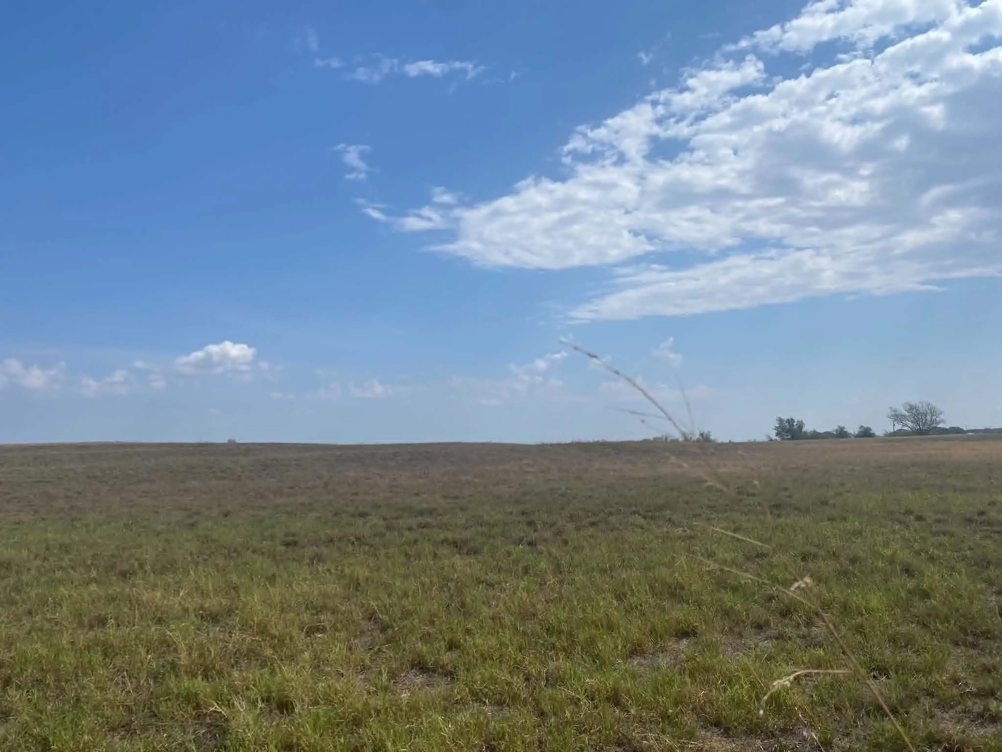Unimproved Land For Sale in Erath County , 608 County Road 373, Dublin, Texas 76446, 0, 0, Garage spaces, 0 Sqft, built in 2011, mls#21397304, Real Estate Agent in Dublin, Homes For Sale in Erath county, Homes For Sale in Dublin, Realtor in Dublin Texas, Real Estate Brokerage Independent Realty Texas, Luminita Cordes Realtor