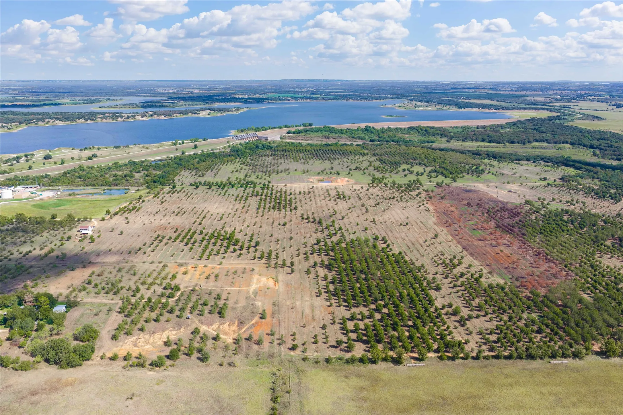 Unimproved Land For Sale in Comanche County , TBD FM 2861 & CR 418C, Comanche, Texas 76442, 0, 0, Garage spaces, 0 Sqft, built in 0, mls#21401562, Real Estate Agent in Comanche, Homes For Sale in Comanche county, Homes For Sale in Comanche, Realtor in Comanche Texas, Real Estate Brokerage Independent Realty Texas, Luminita Cordes Realtor