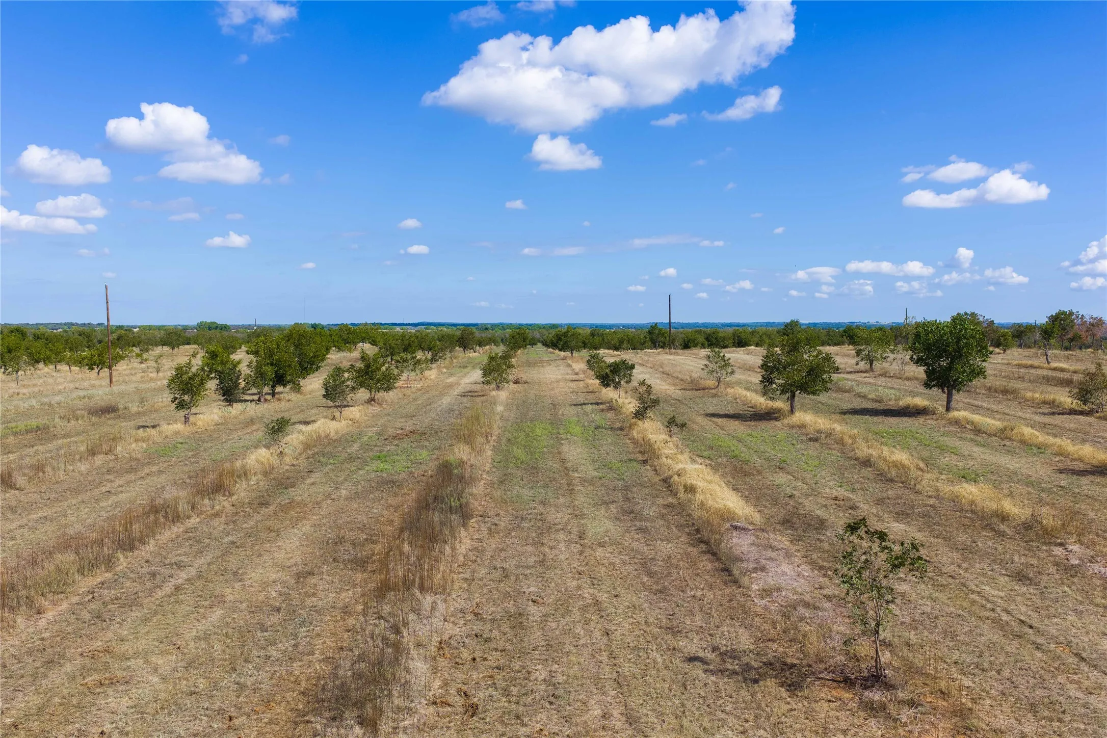 Unimproved Land For Sale in Comanche County , TBD FM 2861 & CR 418C, Comanche, Texas 76442, 0, 0, Garage spaces, 0 Sqft, built in 0, mls#21401562, Real Estate Agent in Comanche, Homes For Sale in Comanche county, Homes For Sale in Comanche, Realtor in Comanche Texas, Real Estate Brokerage Independent Realty Texas, Luminita Cordes Realtor