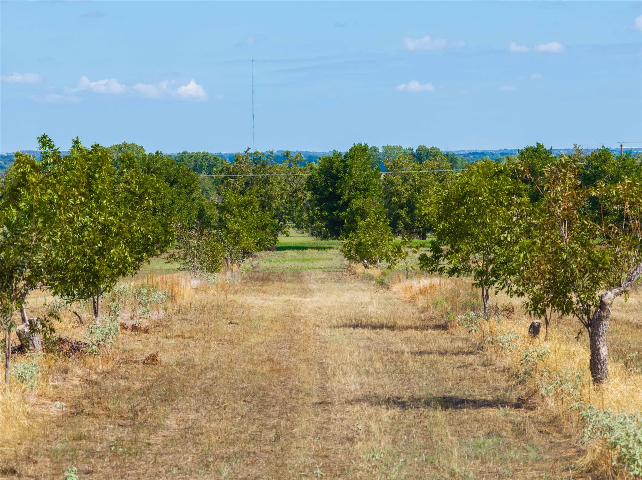 Unimproved Land For Sale in Comanche County , TBD FM 2861 & CR 418C, Comanche, Texas 76442, 0, 0, Garage spaces, 0 Sqft, built in 0, mls#21401562, Real Estate Agent in Comanche, Homes For Sale in Comanche county, Homes For Sale in Comanche, Realtor in Comanche Texas, Real Estate Brokerage Independent Realty Texas, Luminita Cordes Realtor