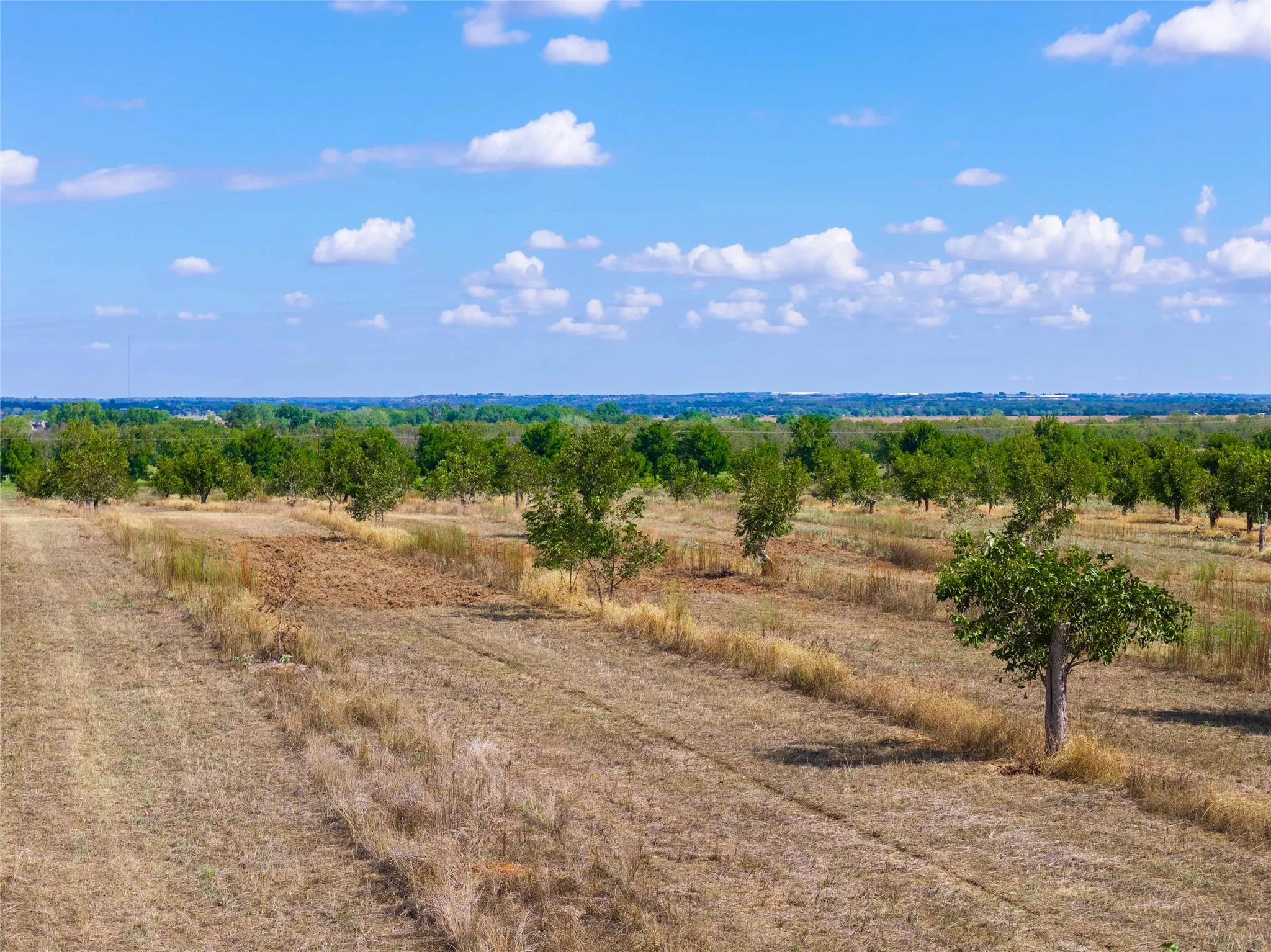 Unimproved Land For Sale in Comanche County , TBD FM 2861 & CR 418C, Comanche, Texas 76442, 0, 0, Garage spaces, 0 Sqft, built in 0, mls#21401562, Real Estate Agent in Comanche, Homes For Sale in Comanche county, Homes For Sale in Comanche, Realtor in Comanche Texas, Real Estate Brokerage Independent Realty Texas, Luminita Cordes Realtor