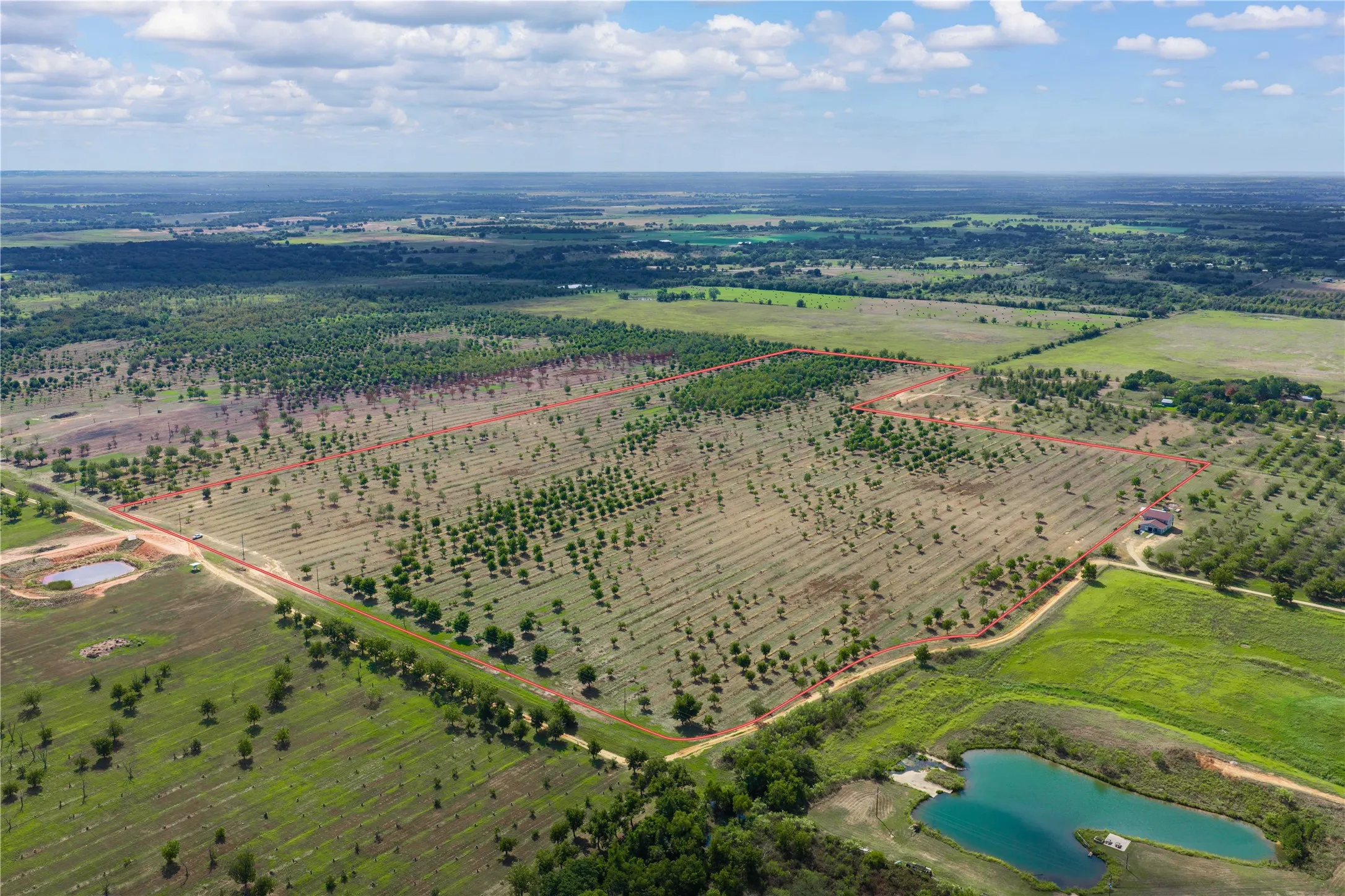 Unimproved Land For Sale in Comanche County , TBD FM 2861 & CR 418C, Comanche, Texas 76442, 0, 0, Garage spaces, 0 Sqft, built in 0, mls#21401562, Real Estate Agent in Comanche, Homes For Sale in Comanche county, Homes For Sale in Comanche, Realtor in Comanche Texas, Real Estate Brokerage Independent Realty Texas, Luminita Cordes Realtor