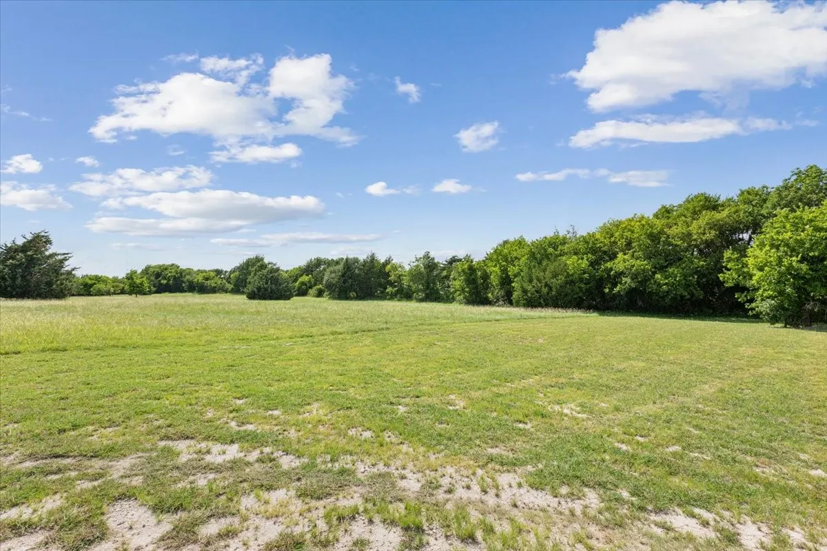 Expansive green field with natural tree line
