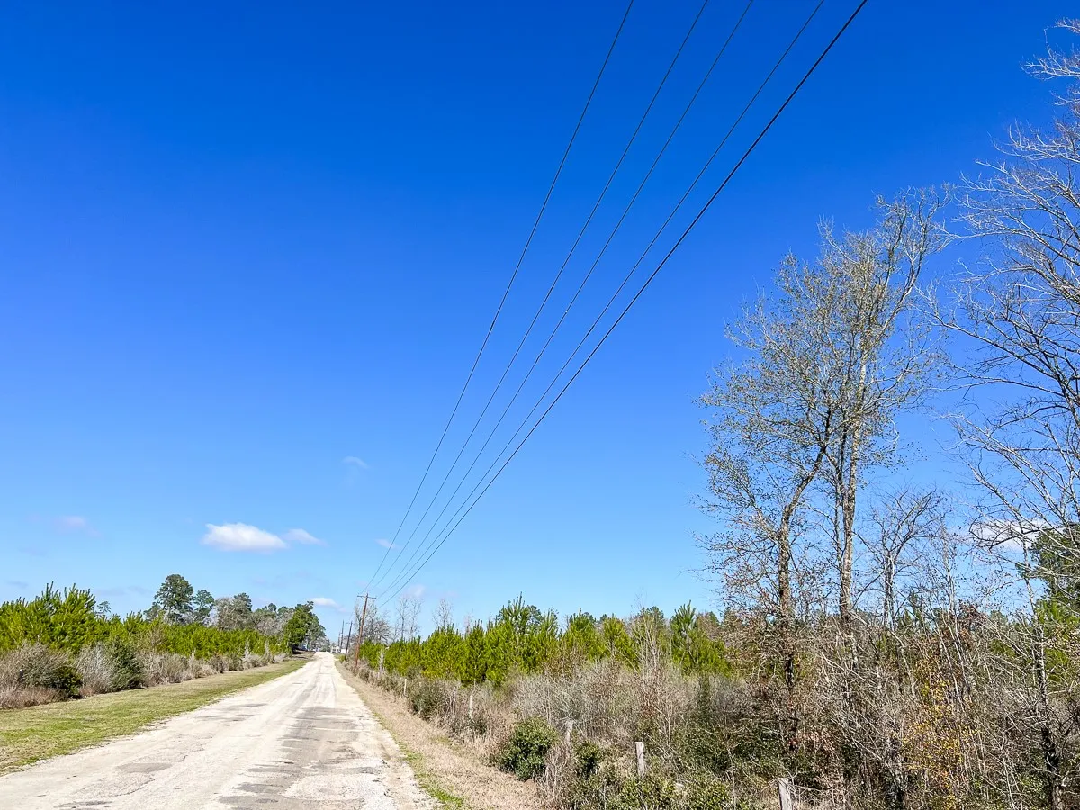 Unimproved Land For Sale in Walker County , 0 Wallace Road, Huntsville, Texas 77320, 0, 0, Garage spaces, 0 Sqft, built in 0, mls#21403859, Real Estate Agent in Huntsville, Homes For Sale in Walker county, Homes For Sale in Huntsville, Realtor in Huntsville Texas, Real Estate Brokerage Independent Realty Texas, Luminita Cordes Realtor