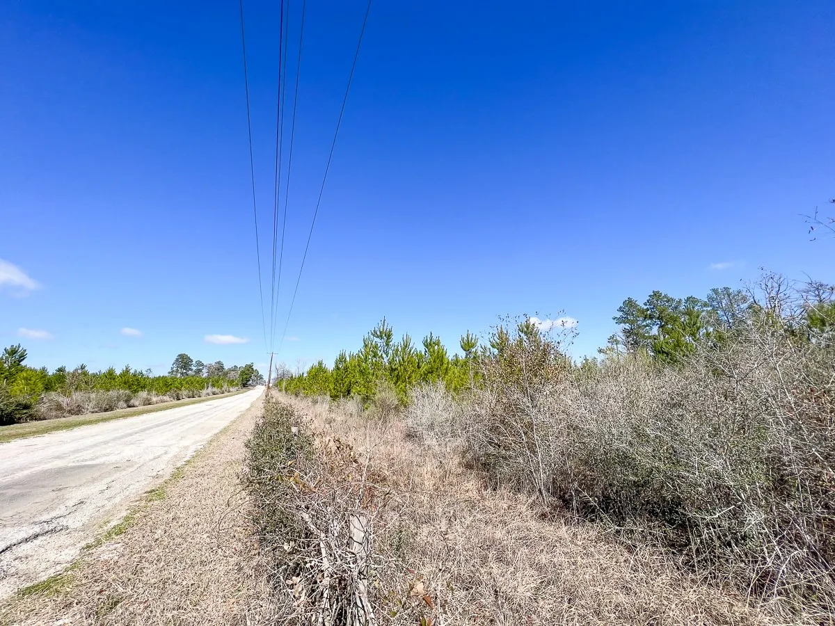 Unimproved Land For Sale in Walker County , 0 Wallace Road, Huntsville, Texas 77320, 0, 0, Garage spaces, 0 Sqft, built in 0, mls#21403859, Real Estate Agent in Huntsville, Homes For Sale in Walker county, Homes For Sale in Huntsville, Realtor in Huntsville Texas, Real Estate Brokerage Independent Realty Texas, Luminita Cordes Realtor