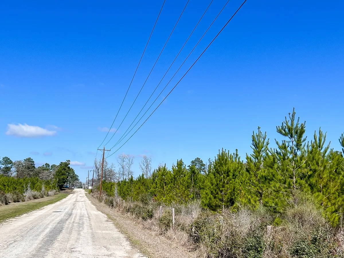 Unimproved Land For Sale in Walker County , 0 Wallace Road, Huntsville, Texas 77320, 0, 0, Garage spaces, 0 Sqft, built in 0, mls#21403859, Real Estate Agent in Huntsville, Homes For Sale in Walker county, Homes For Sale in Huntsville, Realtor in Huntsville Texas, Real Estate Brokerage Independent Realty Texas, Luminita Cordes Realtor