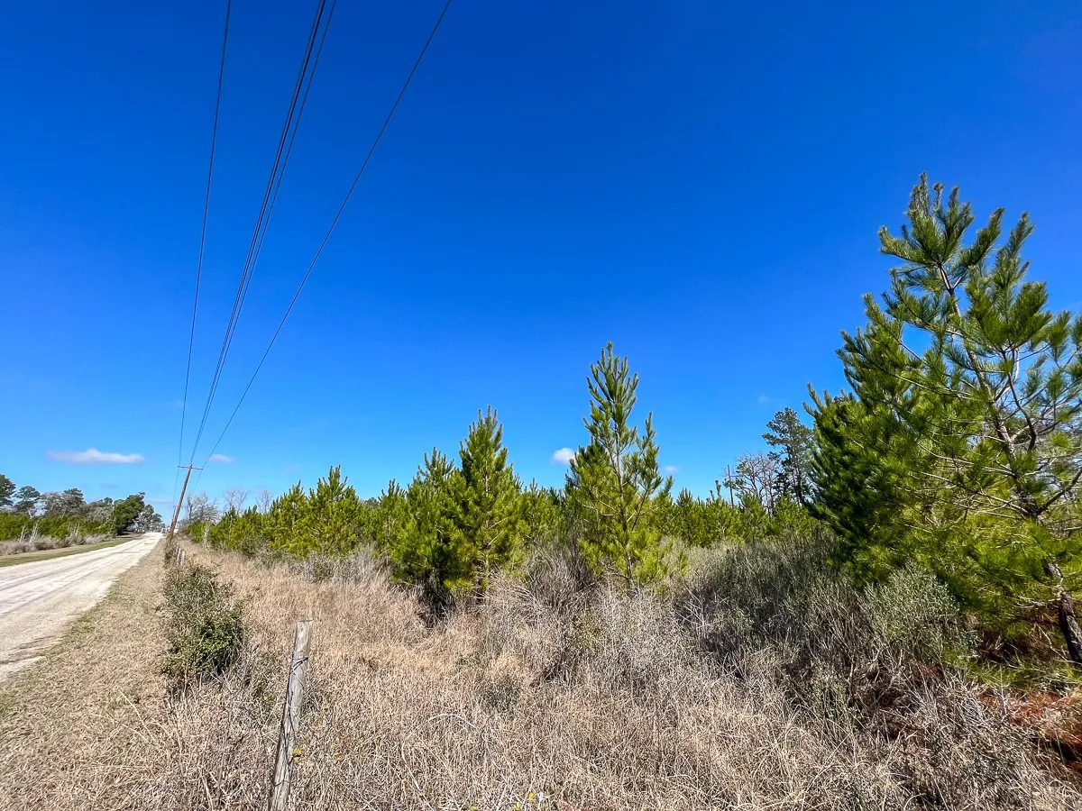 Unimproved Land For Sale in Walker County , 0 Wallace Road, Huntsville, Texas 77320, 0, 0, Garage spaces, 0 Sqft, built in 0, mls#21403859, Real Estate Agent in Huntsville, Homes For Sale in Walker county, Homes For Sale in Huntsville, Realtor in Huntsville Texas, Real Estate Brokerage Independent Realty Texas, Luminita Cordes Realtor