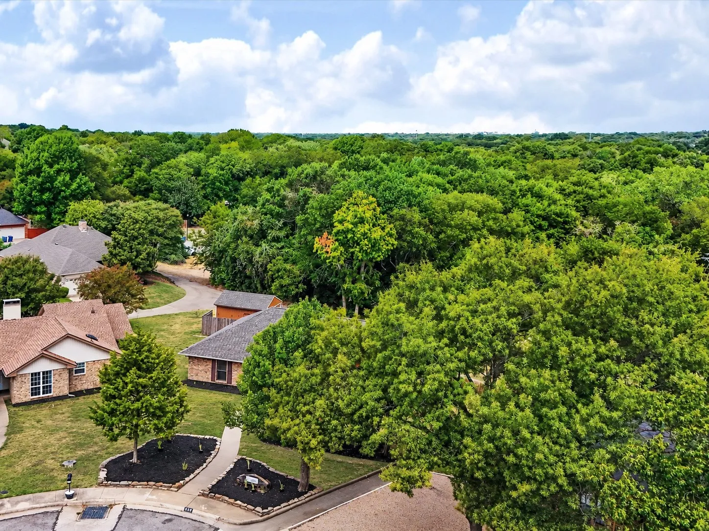 Expansive tree canopy surrounding the property