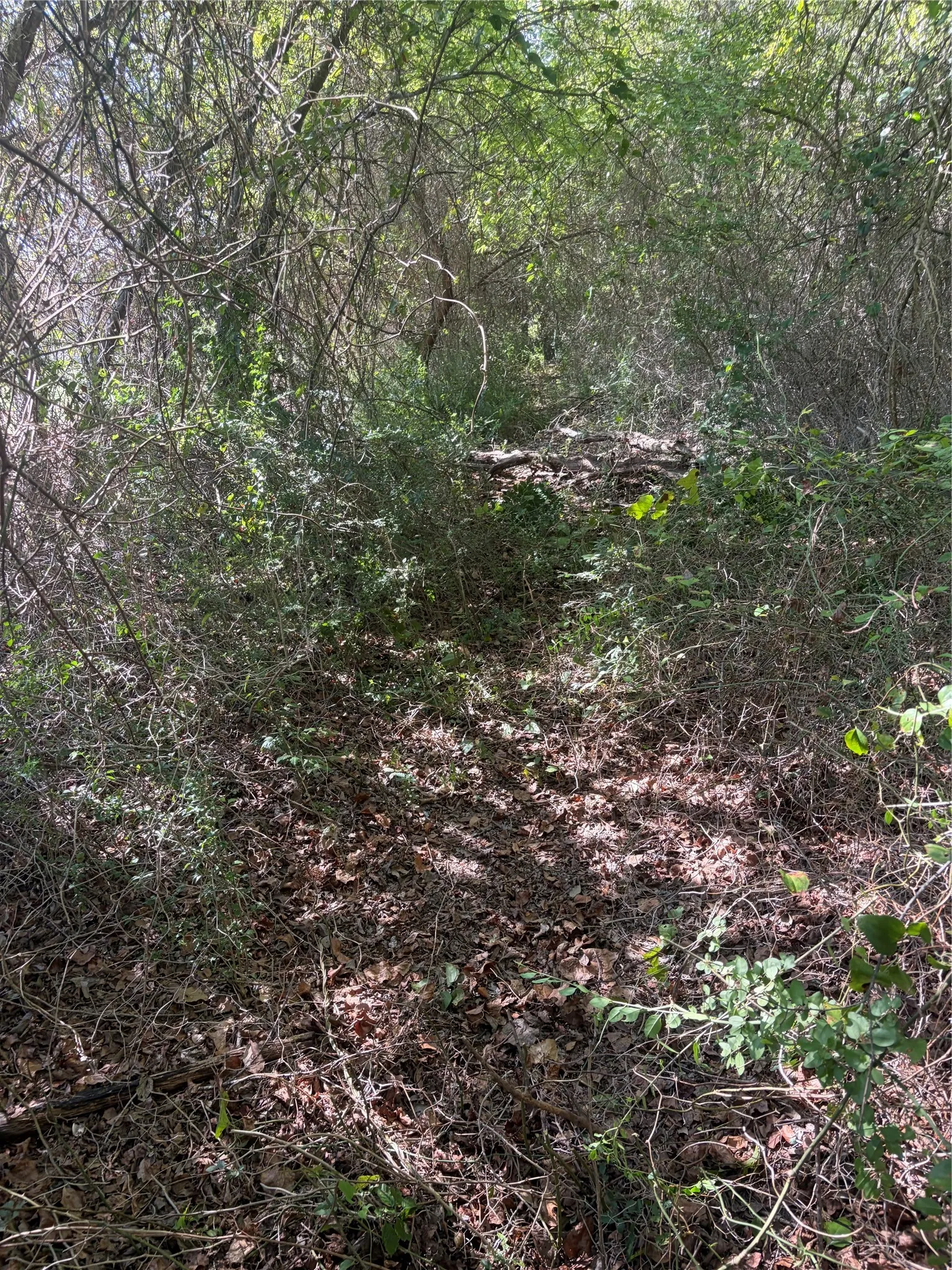 Unimproved Land For Sale in Cherokee County , 994 Brazos, Bullard, Texas 75757, 0, 0, Garage spaces, 0 Sqft, built in 0, mls#21400399, Real Estate Agent in Bullard, Homes For Sale in Cherokee county, Homes For Sale in Bullard, Realtor in Bullard Texas, Real Estate Brokerage Independent Realty Texas, Luminita Cordes Realtor