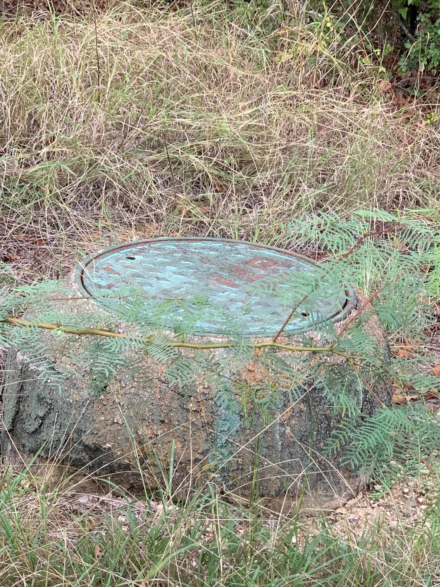 Sewer  and water at the street