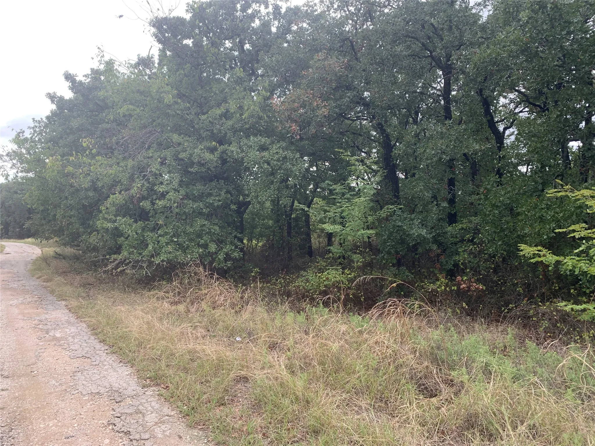 Unimproved Land For Sale in Wise County , Lot3 Blk12 Lindsey Lane, Runaway Bay, Texas 76426, 0, 0, Garage spaces, 0 Sqft, built in 0, mls#21403706, Real Estate Agent in Runaway Bay, Homes For Sale in Wise county, Homes For Sale in Runaway Bay, Realtor in Runaway Bay Texas, Real Estate Brokerage Independent Realty Texas, Luminita Cordes Realtor