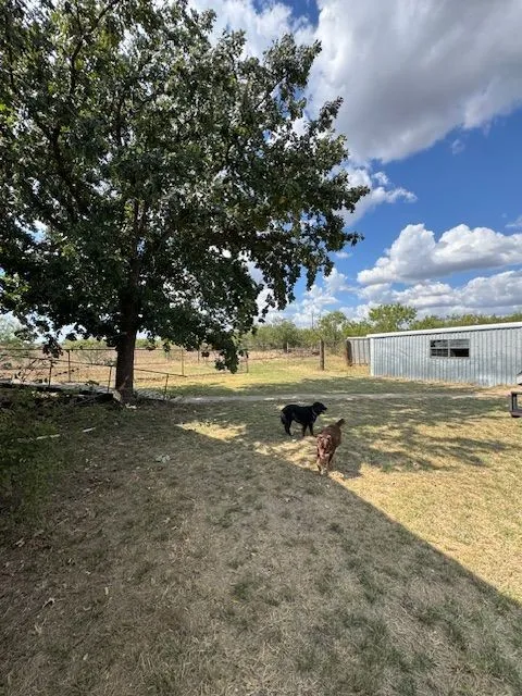 Single Family Residence For Rent in Callahan County , 6227 County Road 137, Abilene, Texas 79601, 3 Bedroom, 2 Bathroom, Garage spaces, 1,512 Sqft, built in 1988, mls#21403951, Real Estate Agent in Abilene, Homes For Rent in Callahan county, Homes For Rent in Abilene, Realtor in Abilene Texas, Real Estate Brokerage Independent Realty Texas, Luminita Cordes Realtor