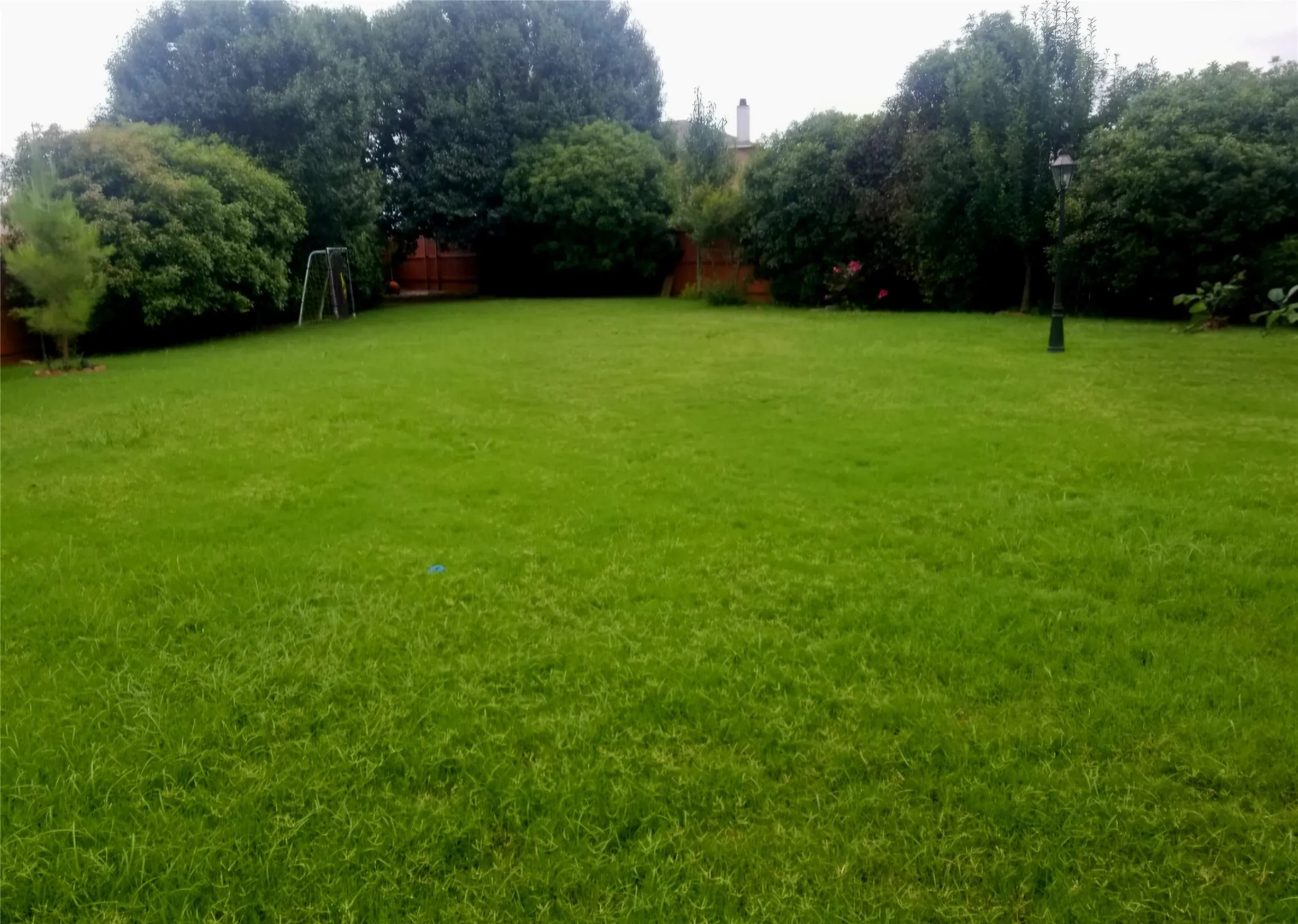 Expansive yard with green lawn, mature trees, and privacy fencing