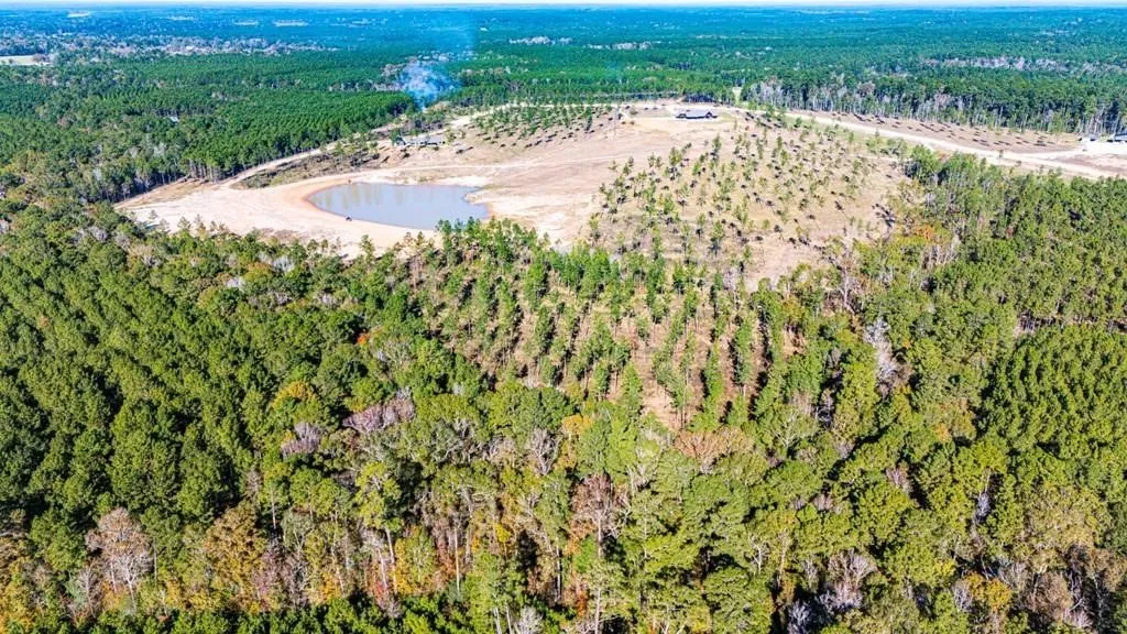 Unimproved Land For Sale in Polk County , 8 Big Buck Dr N, Moscow, Texas 75960, 0, 0, Garage spaces, 0 Sqft, built in 0, mls#21389099, Real Estate Agent in Moscow, Homes For Sale in Polk county, Homes For Sale in Moscow, Realtor in Moscow Texas, Real Estate Brokerage Independent Realty Texas, Luminita Cordes Realtor