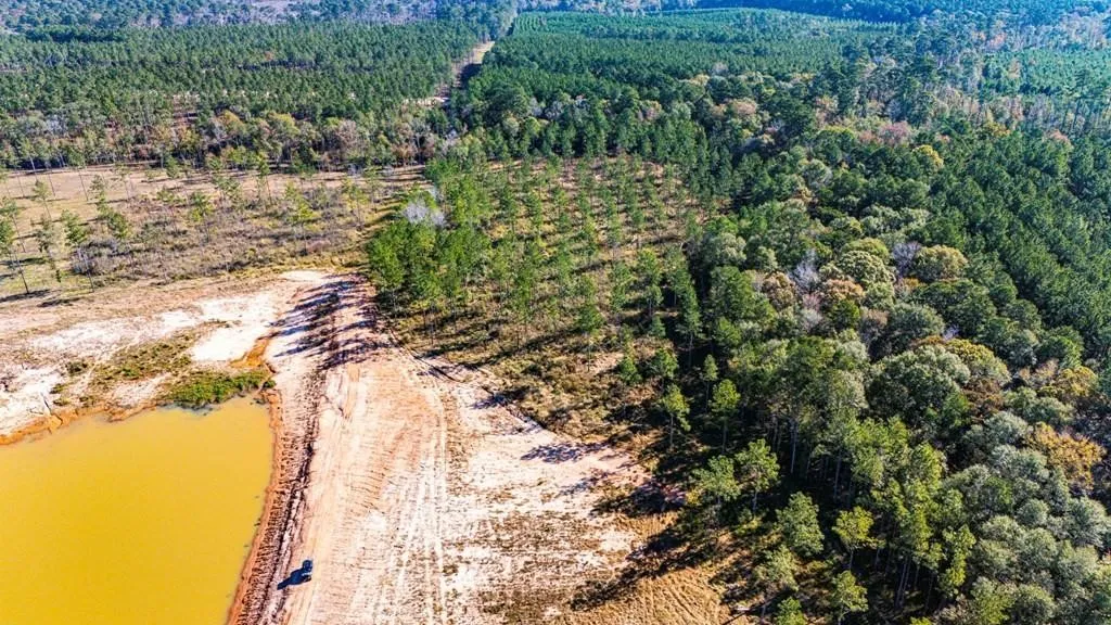 Unimproved Land For Sale in Polk County , 8 Big Buck Dr N, Moscow, Texas 75960, 0, 0, Garage spaces, 0 Sqft, built in 0, mls#21389099, Real Estate Agent in Moscow, Homes For Sale in Polk county, Homes For Sale in Moscow, Realtor in Moscow Texas, Real Estate Brokerage Independent Realty Texas, Luminita Cordes Realtor
