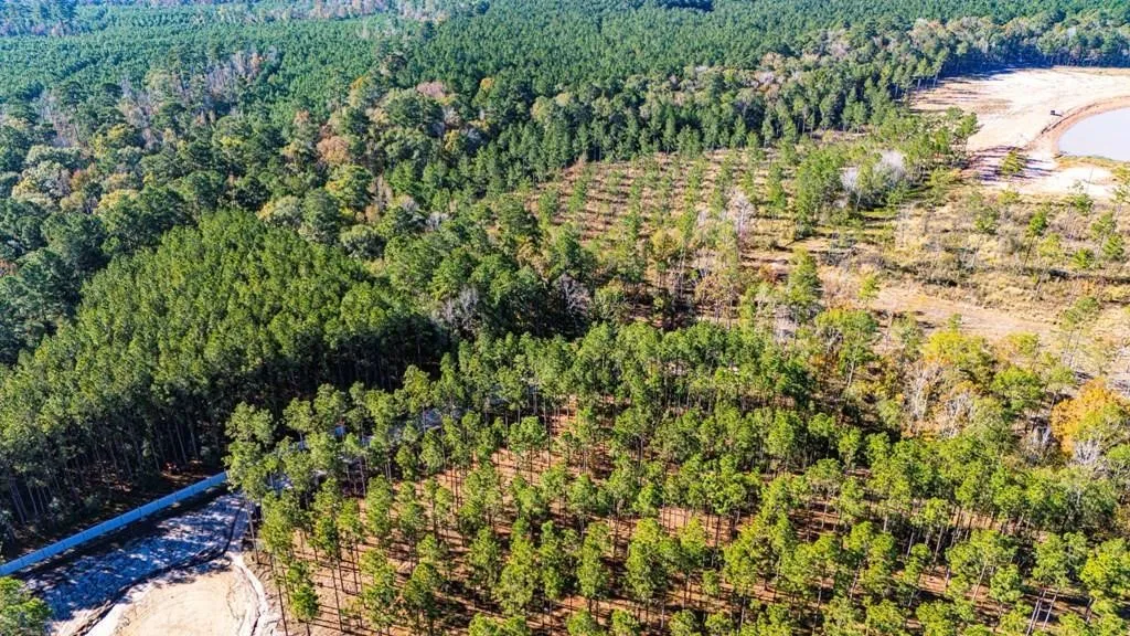 Unimproved Land For Sale in Polk County , 8 Big Buck Dr N, Moscow, Texas 75960, 0, 0, Garage spaces, 0 Sqft, built in 0, mls#21389099, Real Estate Agent in Moscow, Homes For Sale in Polk county, Homes For Sale in Moscow, Realtor in Moscow Texas, Real Estate Brokerage Independent Realty Texas, Luminita Cordes Realtor