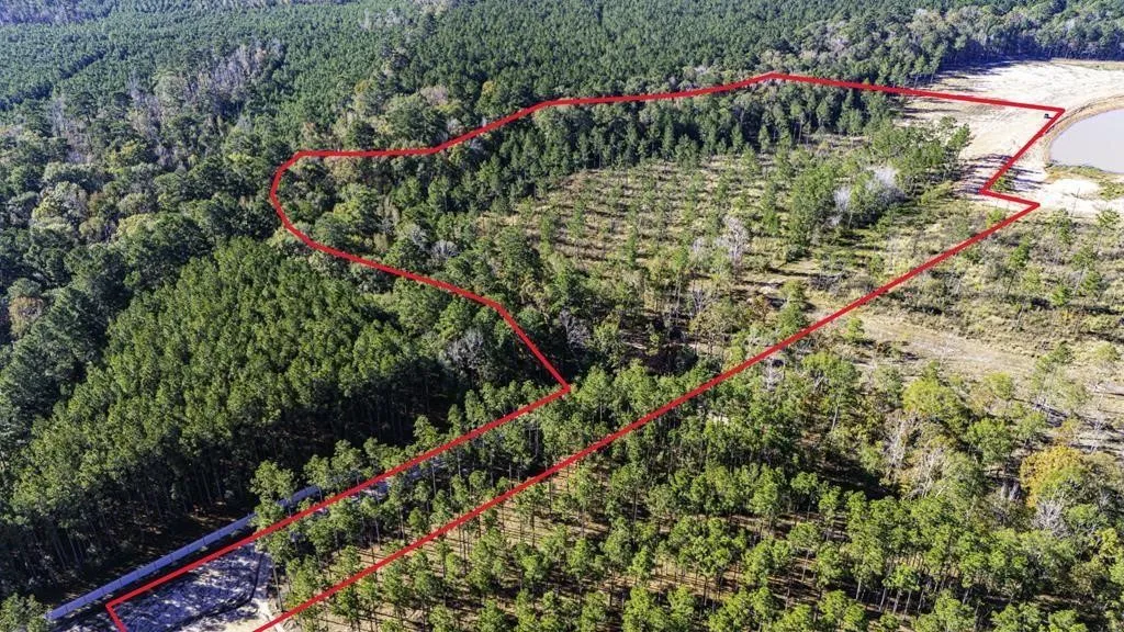 Unimproved Land For Sale in Polk County , 8 Big Buck Dr N, Moscow, Texas 75960, 0, 0, Garage spaces, 0 Sqft, built in 0, mls#21389099, Real Estate Agent in Moscow, Homes For Sale in Polk county, Homes For Sale in Moscow, Realtor in Moscow Texas, Real Estate Brokerage Independent Realty Texas, Luminita Cordes Realtor