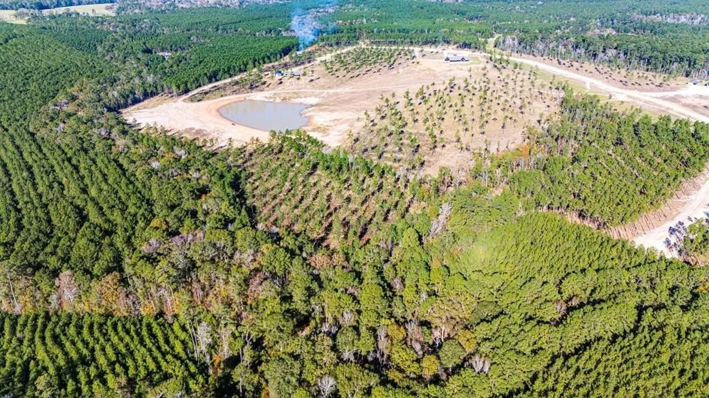 Unimproved Land For Sale in Polk County , 8 Big Buck Dr N, Moscow, Texas 75960, 0, 0, Garage spaces, 0 Sqft, built in 0, mls#21389099, Real Estate Agent in Moscow, Homes For Sale in Polk county, Homes For Sale in Moscow, Realtor in Moscow Texas, Real Estate Brokerage Independent Realty Texas, Luminita Cordes Realtor