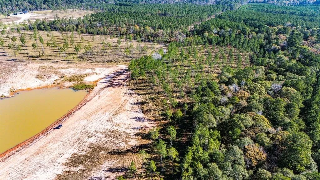 Unimproved Land For Sale in Polk County , 8 Big Buck Dr N, Moscow, Texas 75960, 0, 0, Garage spaces, 0 Sqft, built in 0, mls#21389099, Real Estate Agent in Moscow, Homes For Sale in Polk county, Homes For Sale in Moscow, Realtor in Moscow Texas, Real Estate Brokerage Independent Realty Texas, Luminita Cordes Realtor