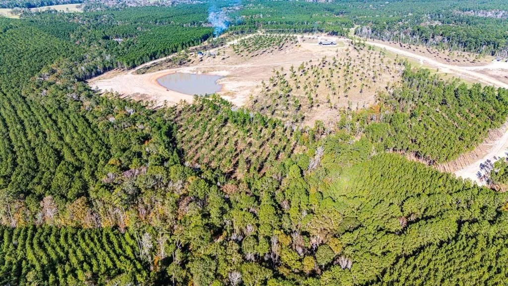 Unimproved Land For Sale in Polk County , 8 Big Buck Dr N, Moscow, Texas 75960, 0, 0, Garage spaces, 0 Sqft, built in 0, mls#21389099, Real Estate Agent in Moscow, Homes For Sale in Polk county, Homes For Sale in Moscow, Realtor in Moscow Texas, Real Estate Brokerage Independent Realty Texas, Luminita Cordes Realtor