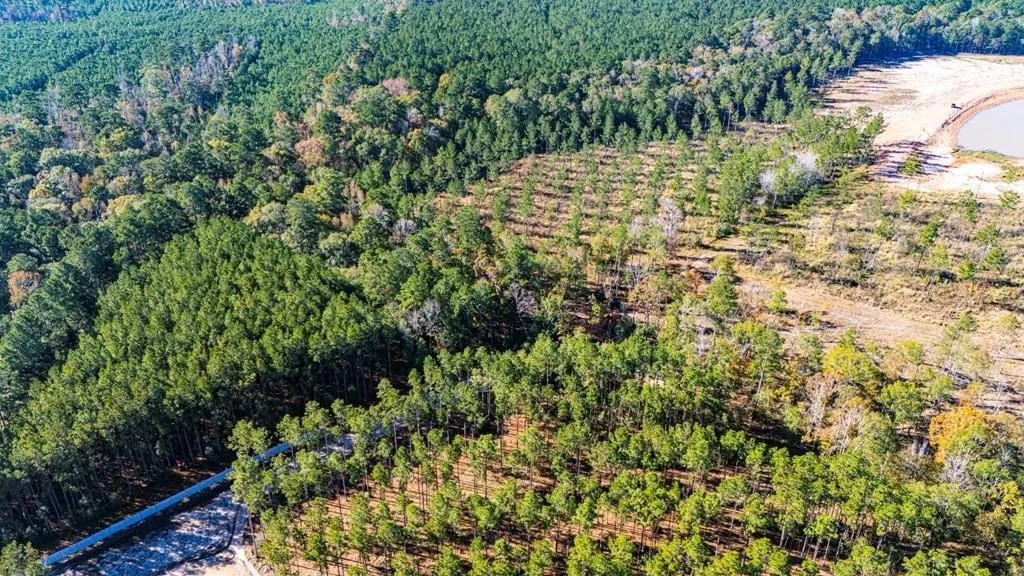Unimproved Land For Sale in Polk County , 8 Big Buck Dr N, Moscow, Texas 75960, 0, 0, Garage spaces, 0 Sqft, built in 0, mls#21389099, Real Estate Agent in Moscow, Homes For Sale in Polk county, Homes For Sale in Moscow, Realtor in Moscow Texas, Real Estate Brokerage Independent Realty Texas, Luminita Cordes Realtor