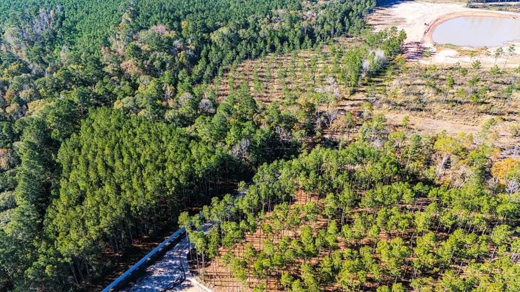 Unimproved Land For Sale in Polk County , 8 Big Buck Dr N, Moscow, Texas 75960, 0, 0, Garage spaces, 0 Sqft, built in 0, mls#21389099, Real Estate Agent in Moscow, Homes For Sale in Polk county, Homes For Sale in Moscow, Realtor in Moscow Texas, Real Estate Brokerage Independent Realty Texas, Luminita Cordes Realtor