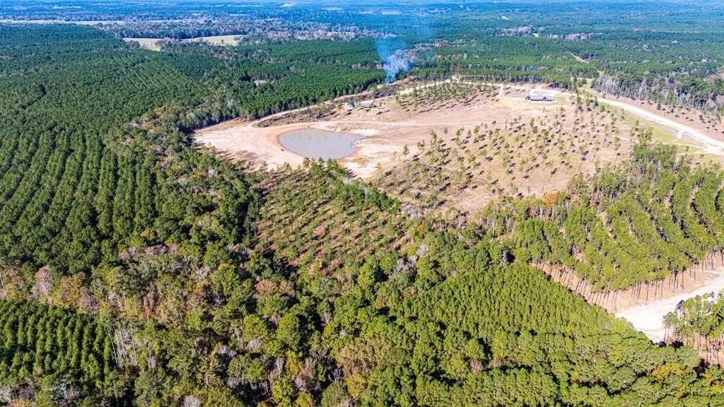 Unimproved Land For Sale in Polk County , 8 Big Buck Dr N, Moscow, Texas 75960, 0, 0, Garage spaces, 0 Sqft, built in 0, mls#21389099, Real Estate Agent in Moscow, Homes For Sale in Polk county, Homes For Sale in Moscow, Realtor in Moscow Texas, Real Estate Brokerage Independent Realty Texas, Luminita Cordes Realtor
