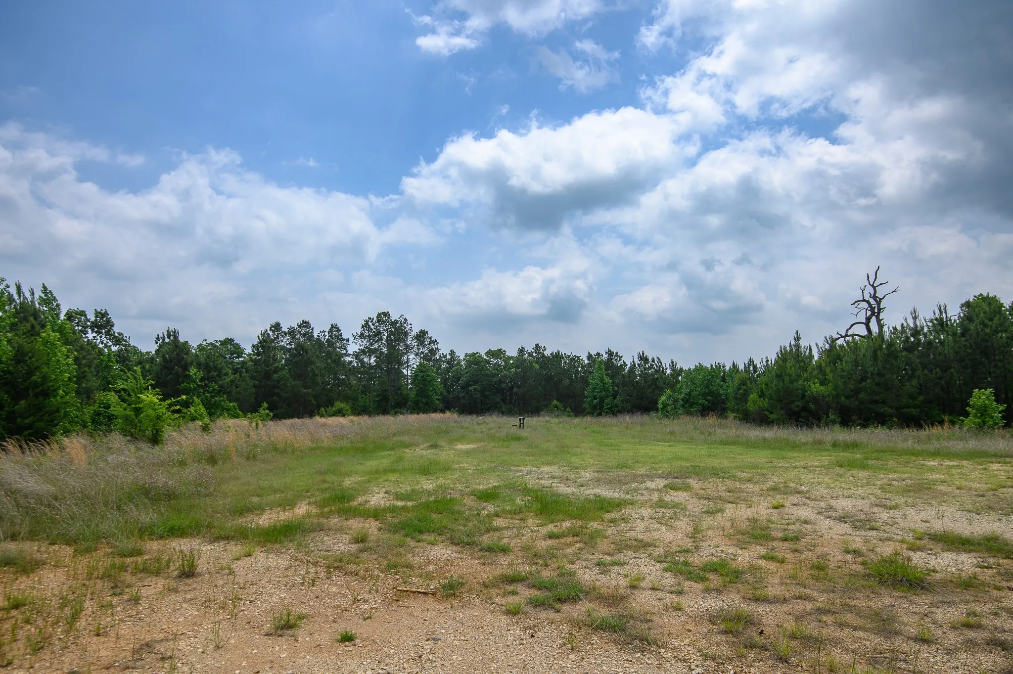 Improved Land For Sale in Van Zandt County , TBD State Highway 64 2, Ben Wheeler, Texas 75754, 0, 0, Garage spaces, 0 Sqft, built in 0, mls#21403895, Real Estate Agent in Ben Wheeler, Homes For Sale in Van Zandt county, Homes For Sale in Ben Wheeler, Realtor in Ben Wheeler Texas, Real Estate Brokerage Independent Realty Texas, Luminita Cordes Realtor