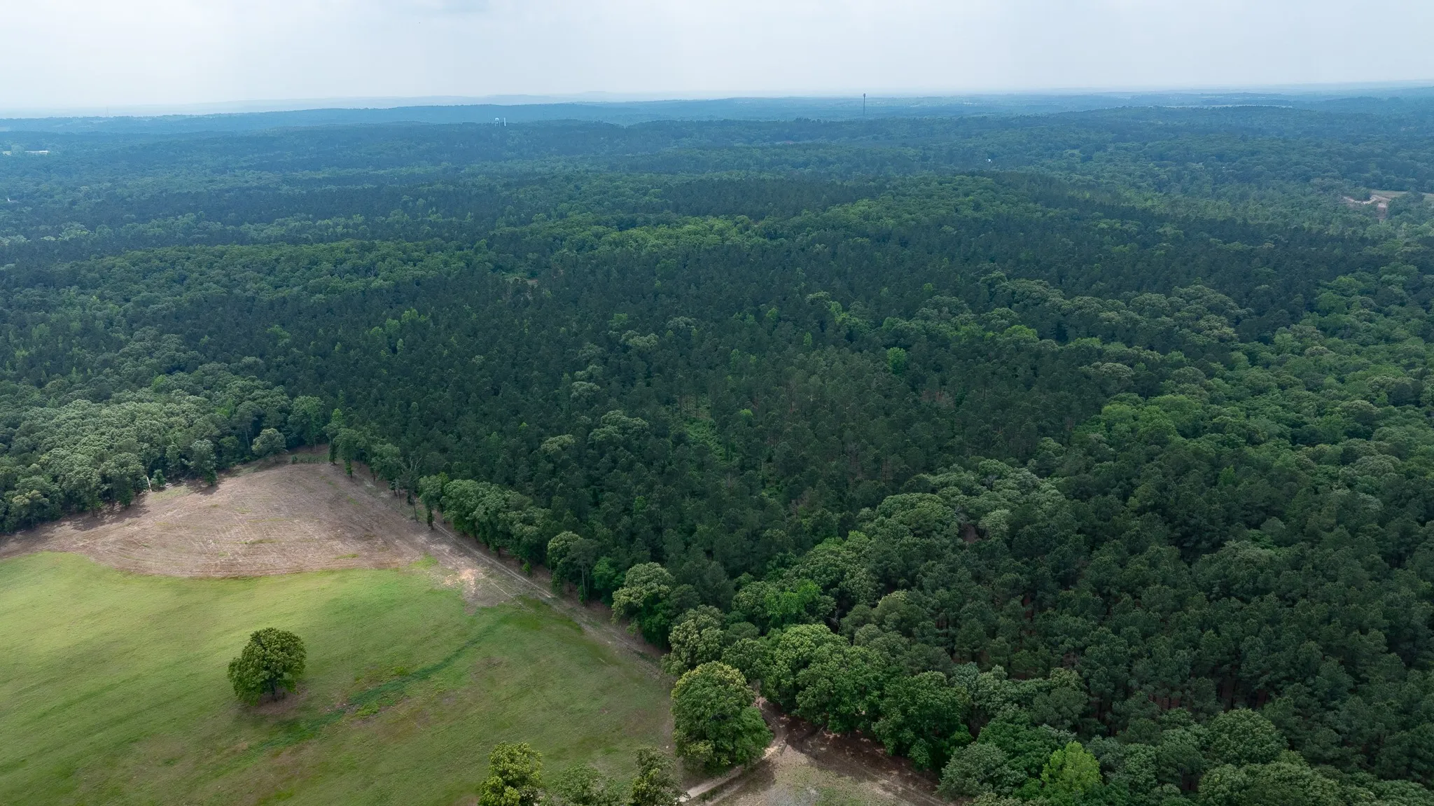 Improved Land For Sale in Van Zandt County , TBD State Highway 64 2, Ben Wheeler, Texas 75754, 0, 0, Garage spaces, 0 Sqft, built in 0, mls#21403895, Real Estate Agent in Ben Wheeler, Homes For Sale in Van Zandt county, Homes For Sale in Ben Wheeler, Realtor in Ben Wheeler Texas, Real Estate Brokerage Independent Realty Texas, Luminita Cordes Realtor