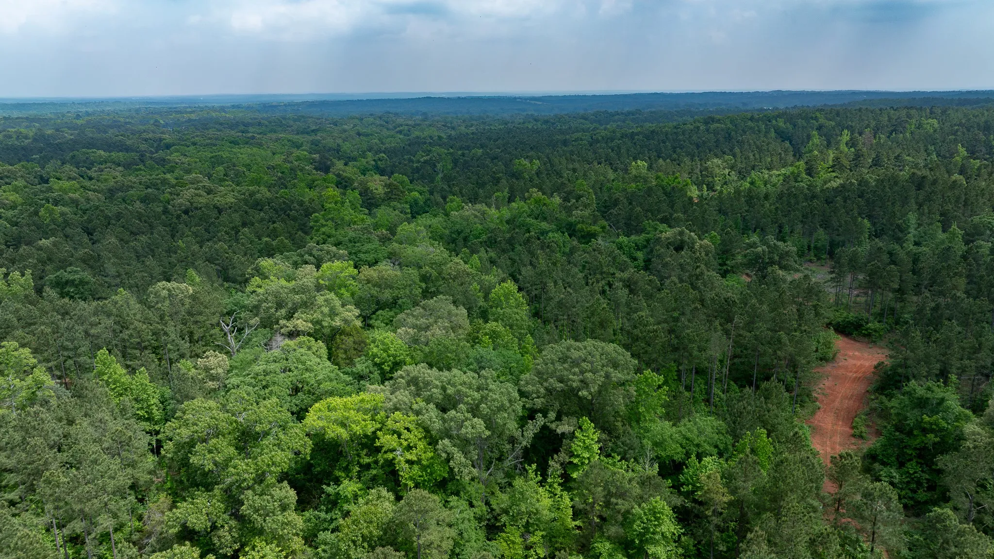 Improved Land For Sale in Van Zandt County , TBD State Highway 64 2, Ben Wheeler, Texas 75754, 0, 0, Garage spaces, 0 Sqft, built in 0, mls#21403895, Real Estate Agent in Ben Wheeler, Homes For Sale in Van Zandt county, Homes For Sale in Ben Wheeler, Realtor in Ben Wheeler Texas, Real Estate Brokerage Independent Realty Texas, Luminita Cordes Realtor