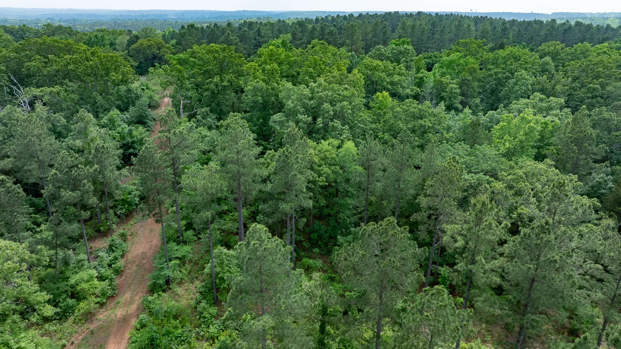Improved Land For Sale in Van Zandt County , TBD State Highway 64 2, Ben Wheeler, Texas 75754, 0, 0, Garage spaces, 0 Sqft, built in 0, mls#21403895, Real Estate Agent in Ben Wheeler, Homes For Sale in Van Zandt county, Homes For Sale in Ben Wheeler, Realtor in Ben Wheeler Texas, Real Estate Brokerage Independent Realty Texas, Luminita Cordes Realtor