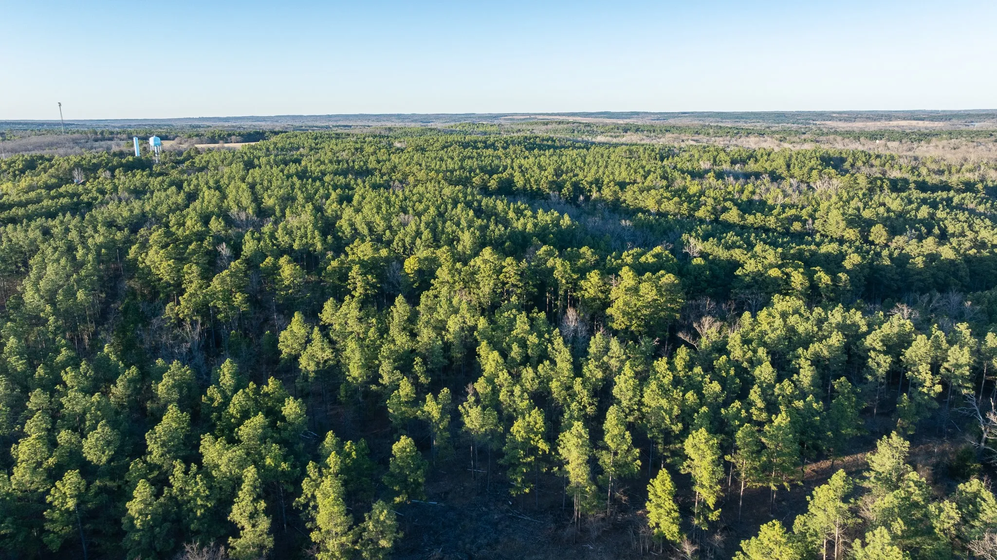 Improved Land For Sale in Van Zandt County , TBD State Highway 64 2, Ben Wheeler, Texas 75754, 0, 0, Garage spaces, 0 Sqft, built in 0, mls#21403895, Real Estate Agent in Ben Wheeler, Homes For Sale in Van Zandt county, Homes For Sale in Ben Wheeler, Realtor in Ben Wheeler Texas, Real Estate Brokerage Independent Realty Texas, Luminita Cordes Realtor