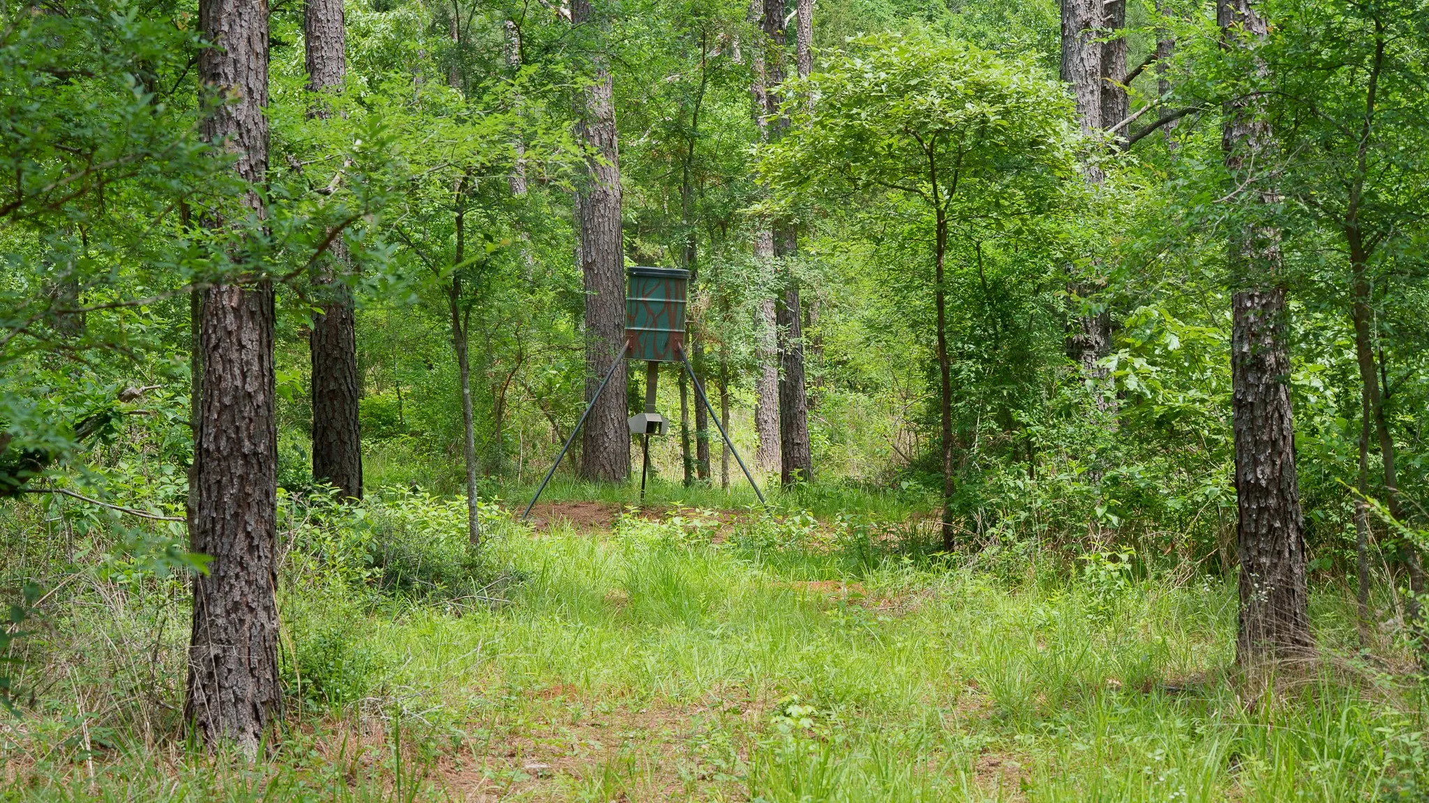Improved Land For Sale in Van Zandt County , TBD State Highway 64 2, Ben Wheeler, Texas 75754, 0, 0, Garage spaces, 0 Sqft, built in 0, mls#21403895, Real Estate Agent in Ben Wheeler, Homes For Sale in Van Zandt county, Homes For Sale in Ben Wheeler, Realtor in Ben Wheeler Texas, Real Estate Brokerage Independent Realty Texas, Luminita Cordes Realtor