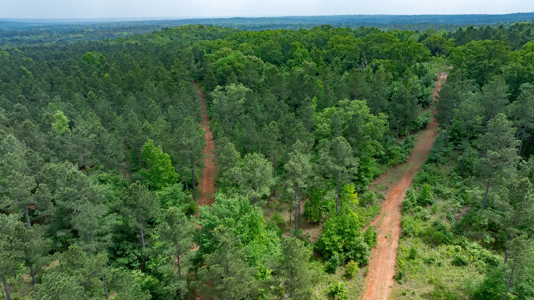 Improved Land For Sale in Van Zandt County , TBD State Highway 64 2, Ben Wheeler, Texas 75754, 0, 0, Garage spaces, 0 Sqft, built in 0, mls#21403895, Real Estate Agent in Ben Wheeler, Homes For Sale in Van Zandt county, Homes For Sale in Ben Wheeler, Realtor in Ben Wheeler Texas, Real Estate Brokerage Independent Realty Texas, Luminita Cordes Realtor