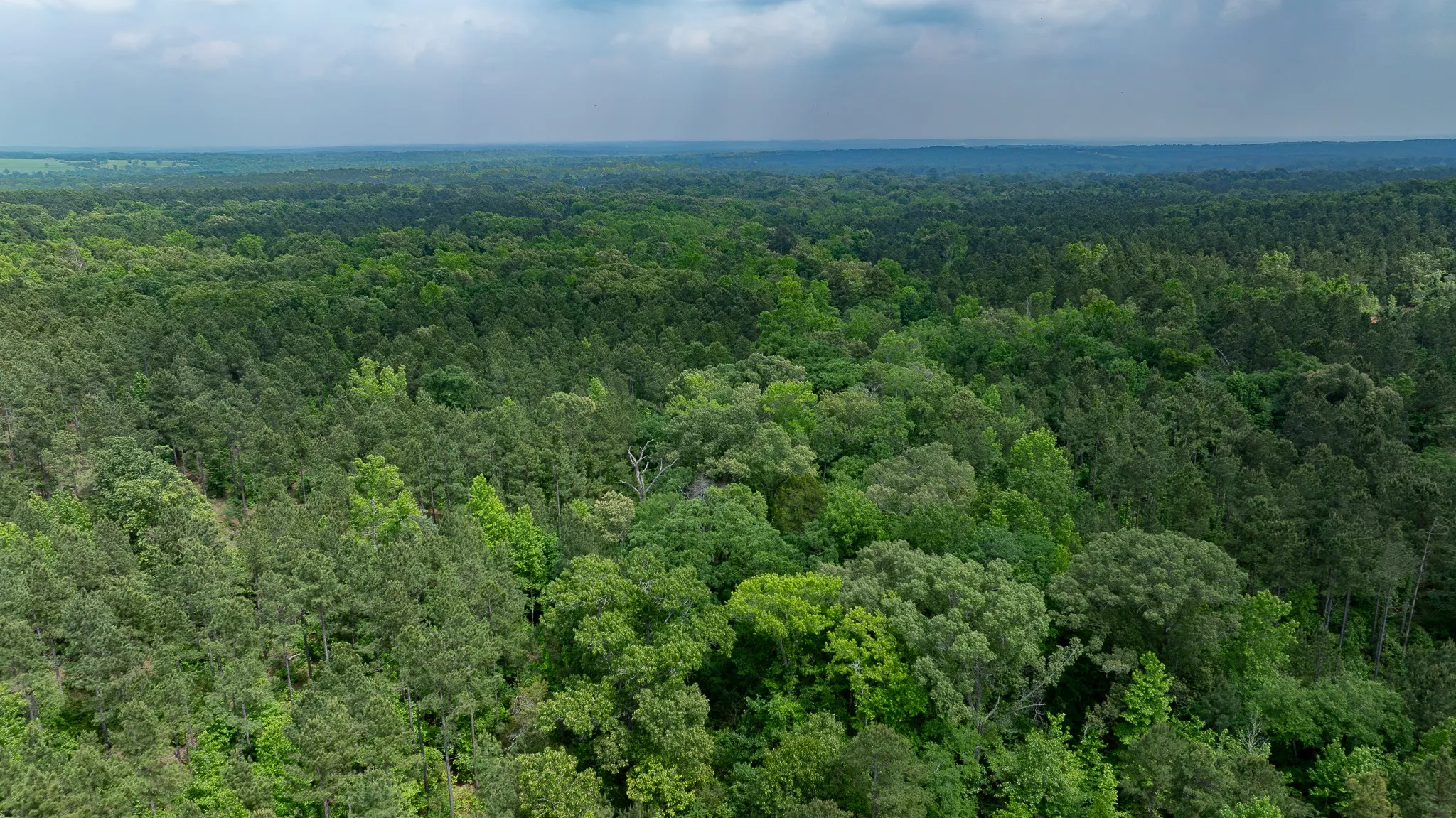 Improved Land For Sale in Van Zandt County , TBD State Highway 64 2, Ben Wheeler, Texas 75754, 0, 0, Garage spaces, 0 Sqft, built in 0, mls#21403895, Real Estate Agent in Ben Wheeler, Homes For Sale in Van Zandt county, Homes For Sale in Ben Wheeler, Realtor in Ben Wheeler Texas, Real Estate Brokerage Independent Realty Texas, Luminita Cordes Realtor