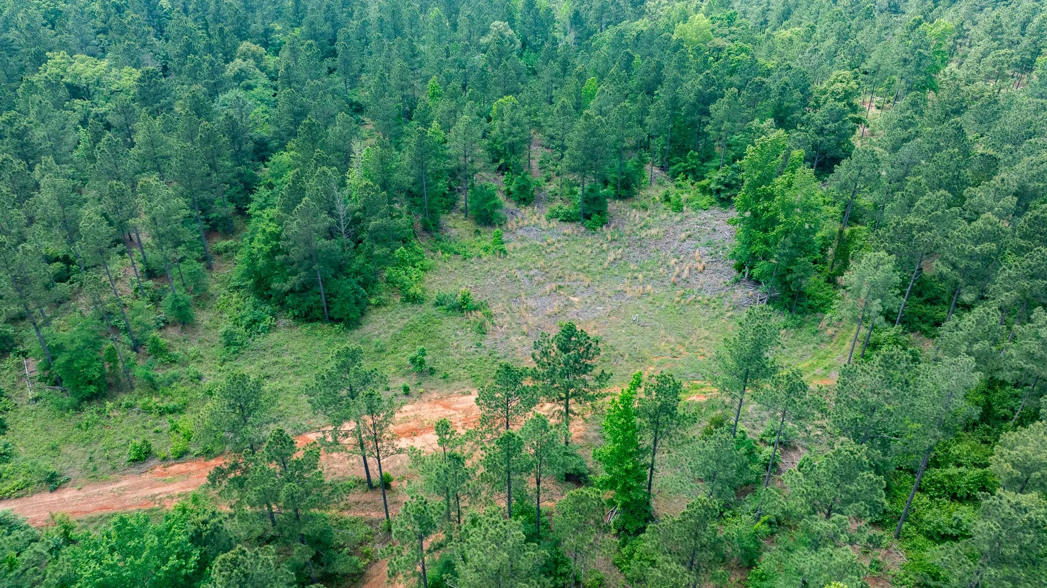 Improved Land For Sale in Van Zandt County , TBD State Highway 64 2, Ben Wheeler, Texas 75754, 0, 0, Garage spaces, 0 Sqft, built in 0, mls#21403895, Real Estate Agent in Ben Wheeler, Homes For Sale in Van Zandt county, Homes For Sale in Ben Wheeler, Realtor in Ben Wheeler Texas, Real Estate Brokerage Independent Realty Texas, Luminita Cordes Realtor