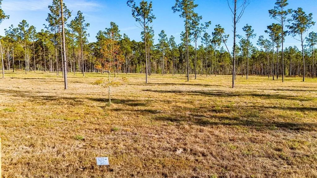 Unimproved Land For Sale in Polk County , 20 Big Buck Drive, Moscow, Texas 75960, 0, 0, Garage spaces, 0 Sqft, built in 0, mls#21389064, Real Estate Agent in Moscow, Homes For Sale in Polk county, Homes For Sale in Moscow, Realtor in Moscow Texas, Real Estate Brokerage Independent Realty Texas, Luminita Cordes Realtor