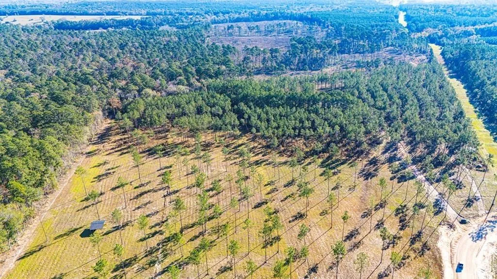 Unimproved Land For Sale in Polk County , 20 Big Buck Drive, Moscow, Texas 75960, 0, 0, Garage spaces, 0 Sqft, built in 0, mls#21389064, Real Estate Agent in Moscow, Homes For Sale in Polk county, Homes For Sale in Moscow, Realtor in Moscow Texas, Real Estate Brokerage Independent Realty Texas, Luminita Cordes Realtor