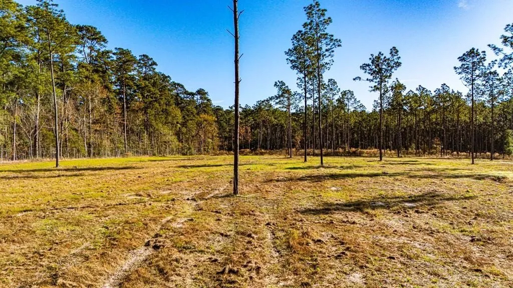 Unimproved Land For Sale in Polk County , 20 Big Buck Drive, Moscow, Texas 75960, 0, 0, Garage spaces, 0 Sqft, built in 0, mls#21389064, Real Estate Agent in Moscow, Homes For Sale in Polk county, Homes For Sale in Moscow, Realtor in Moscow Texas, Real Estate Brokerage Independent Realty Texas, Luminita Cordes Realtor