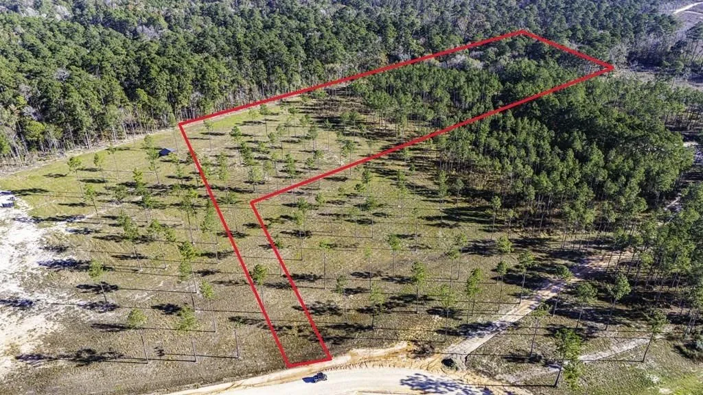 Unimproved Land For Sale in Polk County , 20 Big Buck Drive, Moscow, Texas 75960, 0, 0, Garage spaces, 0 Sqft, built in 0, mls#21389064, Real Estate Agent in Moscow, Homes For Sale in Polk county, Homes For Sale in Moscow, Realtor in Moscow Texas, Real Estate Brokerage Independent Realty Texas, Luminita Cordes Realtor