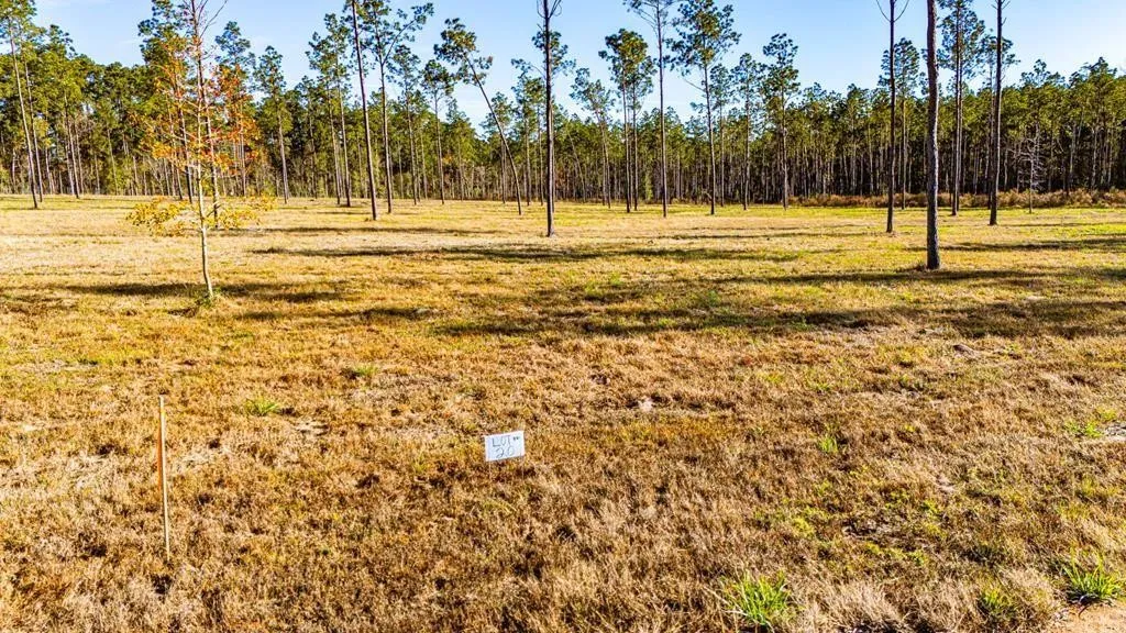 Unimproved Land For Sale in Polk County , 20 Big Buck Drive, Moscow, Texas 75960, 0, 0, Garage spaces, 0 Sqft, built in 0, mls#21389064, Real Estate Agent in Moscow, Homes For Sale in Polk county, Homes For Sale in Moscow, Realtor in Moscow Texas, Real Estate Brokerage Independent Realty Texas, Luminita Cordes Realtor