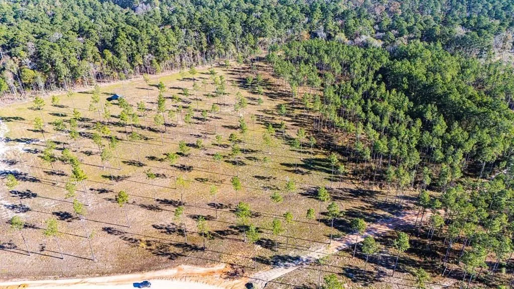 Unimproved Land For Sale in Polk County , 20 Big Buck Drive, Moscow, Texas 75960, 0, 0, Garage spaces, 0 Sqft, built in 0, mls#21389064, Real Estate Agent in Moscow, Homes For Sale in Polk county, Homes For Sale in Moscow, Realtor in Moscow Texas, Real Estate Brokerage Independent Realty Texas, Luminita Cordes Realtor