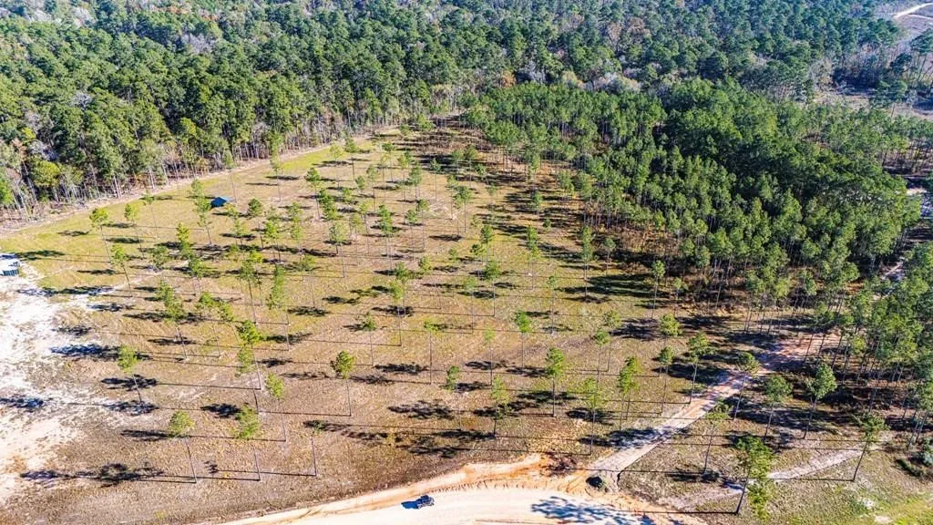 Unimproved Land For Sale in Polk County , 20 Big Buck Drive, Moscow, Texas 75960, 0, 0, Garage spaces, 0 Sqft, built in 0, mls#21389064, Real Estate Agent in Moscow, Homes For Sale in Polk county, Homes For Sale in Moscow, Realtor in Moscow Texas, Real Estate Brokerage Independent Realty Texas, Luminita Cordes Realtor