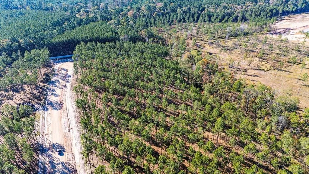 Unimproved Land For Sale in Polk County , 12 Big Buck Drive, Moscow, Texas 75960, 0, 0, Garage spaces, 0 Sqft, built in 0, mls#21389057, Real Estate Agent in Moscow, Homes For Sale in Polk county, Homes For Sale in Moscow, Realtor in Moscow Texas, Real Estate Brokerage Independent Realty Texas, Luminita Cordes Realtor